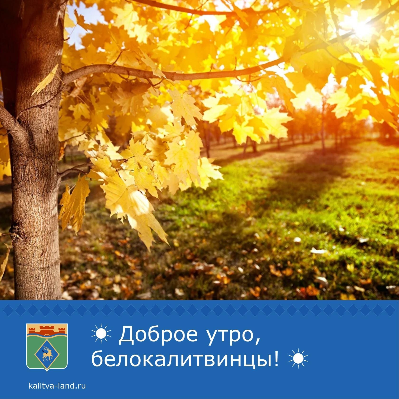 ☁️ Доброе утро, белокалитвинцы!