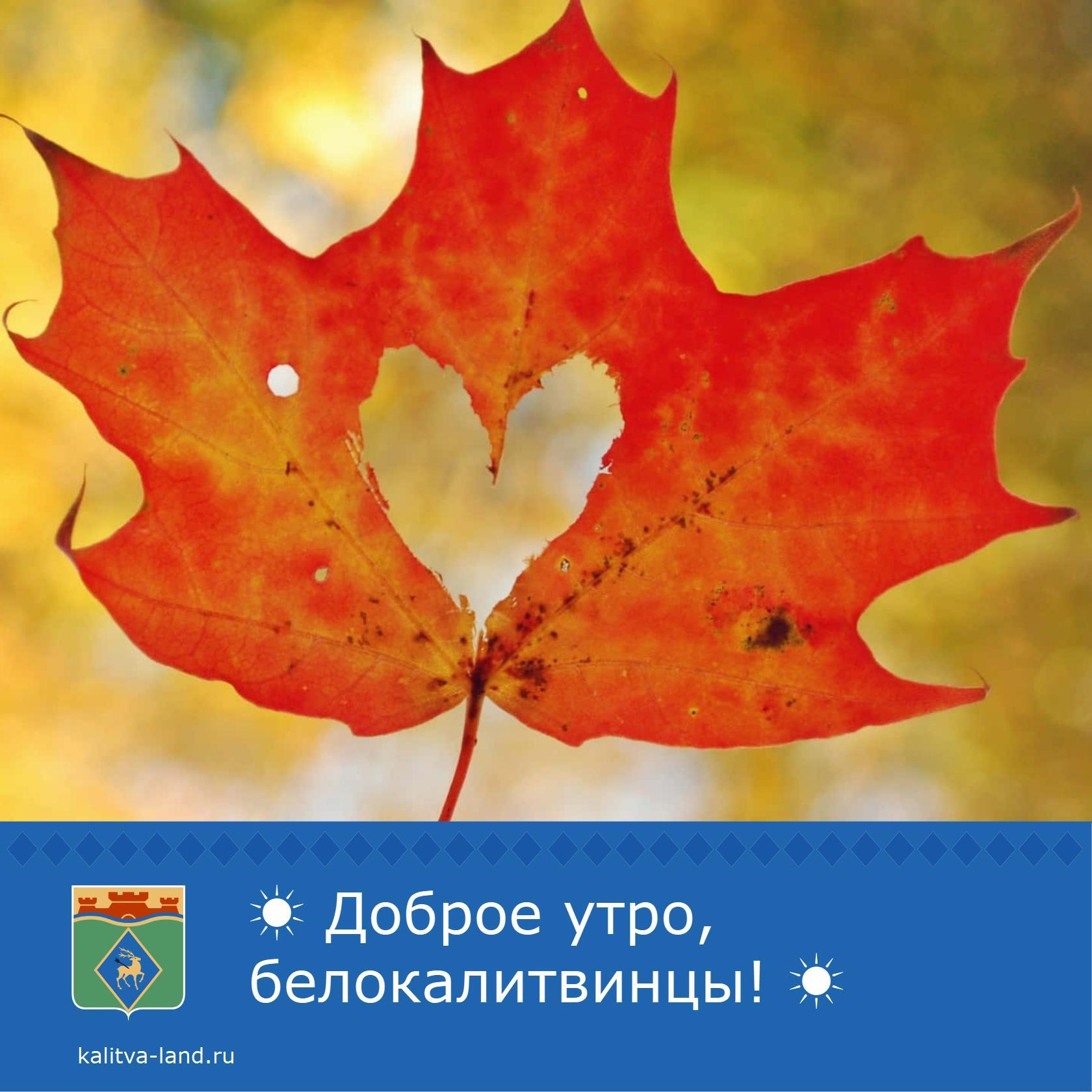  Доброе утро, белокалитвинцы!