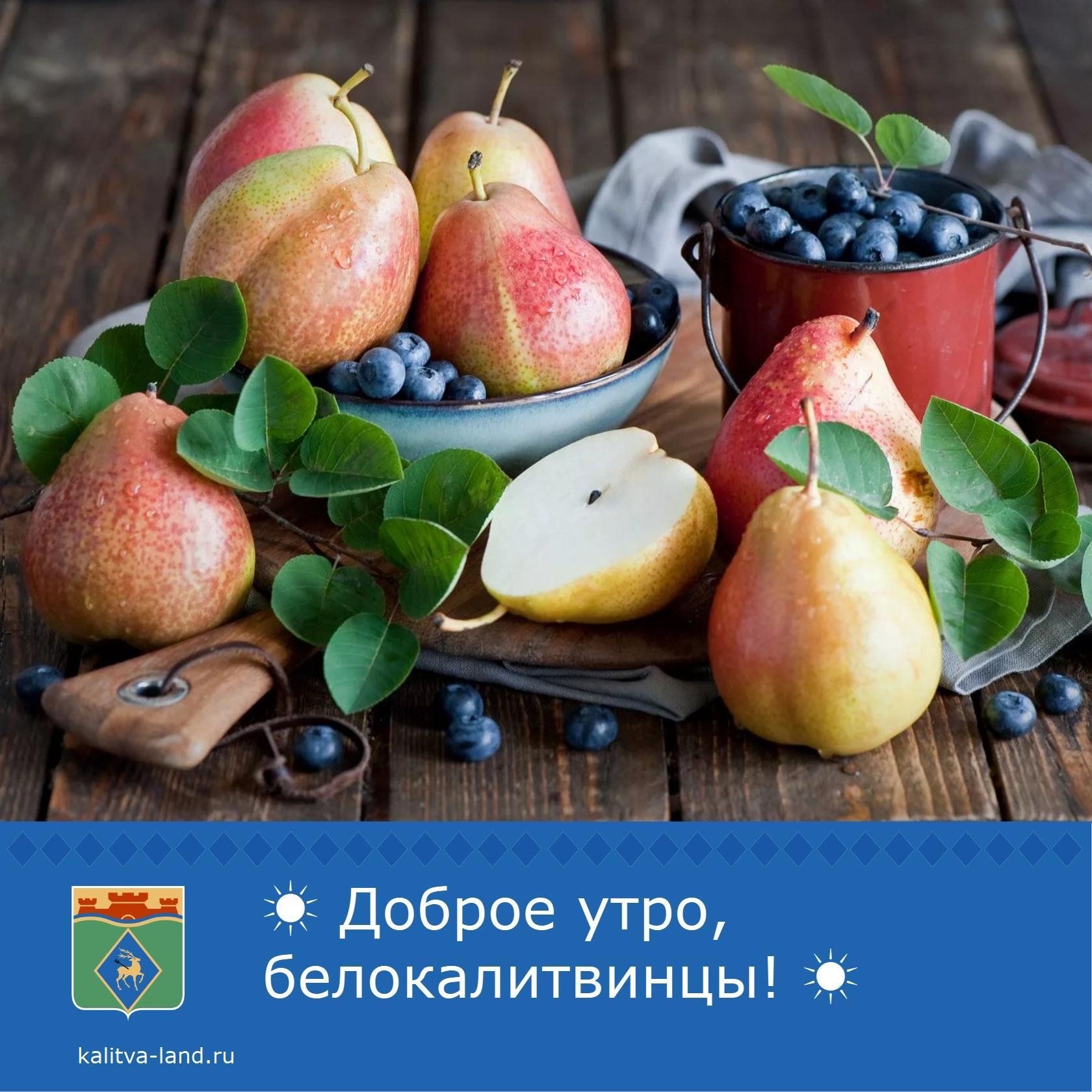  Доброе утро, белокалитвинцы!