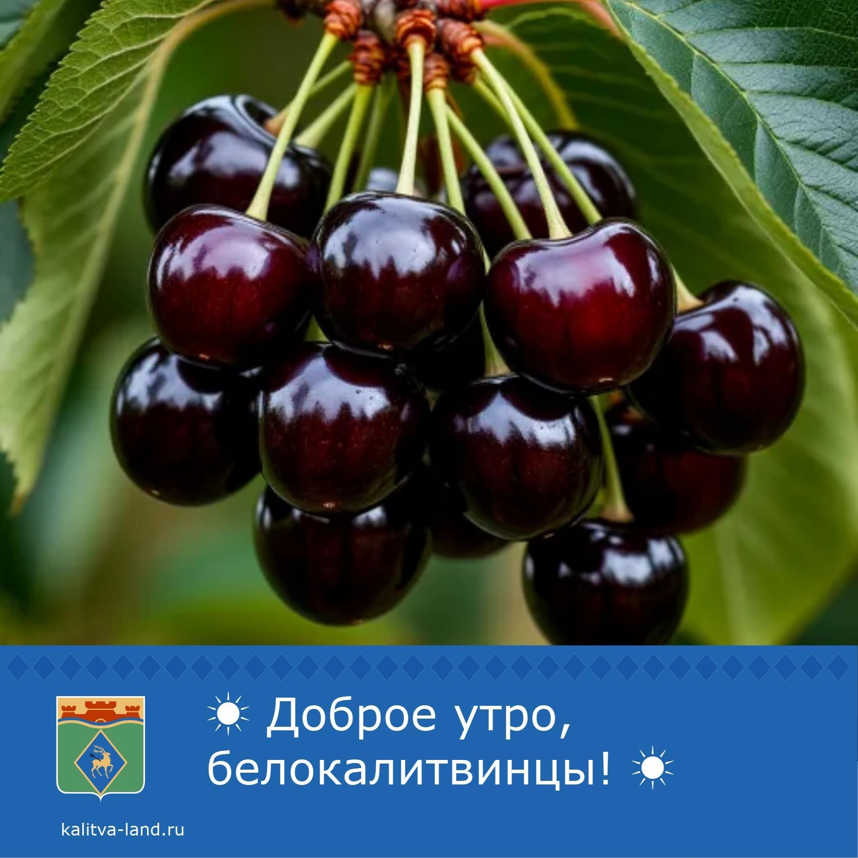 ☀ Доброе утро, белокалитвинцы!
