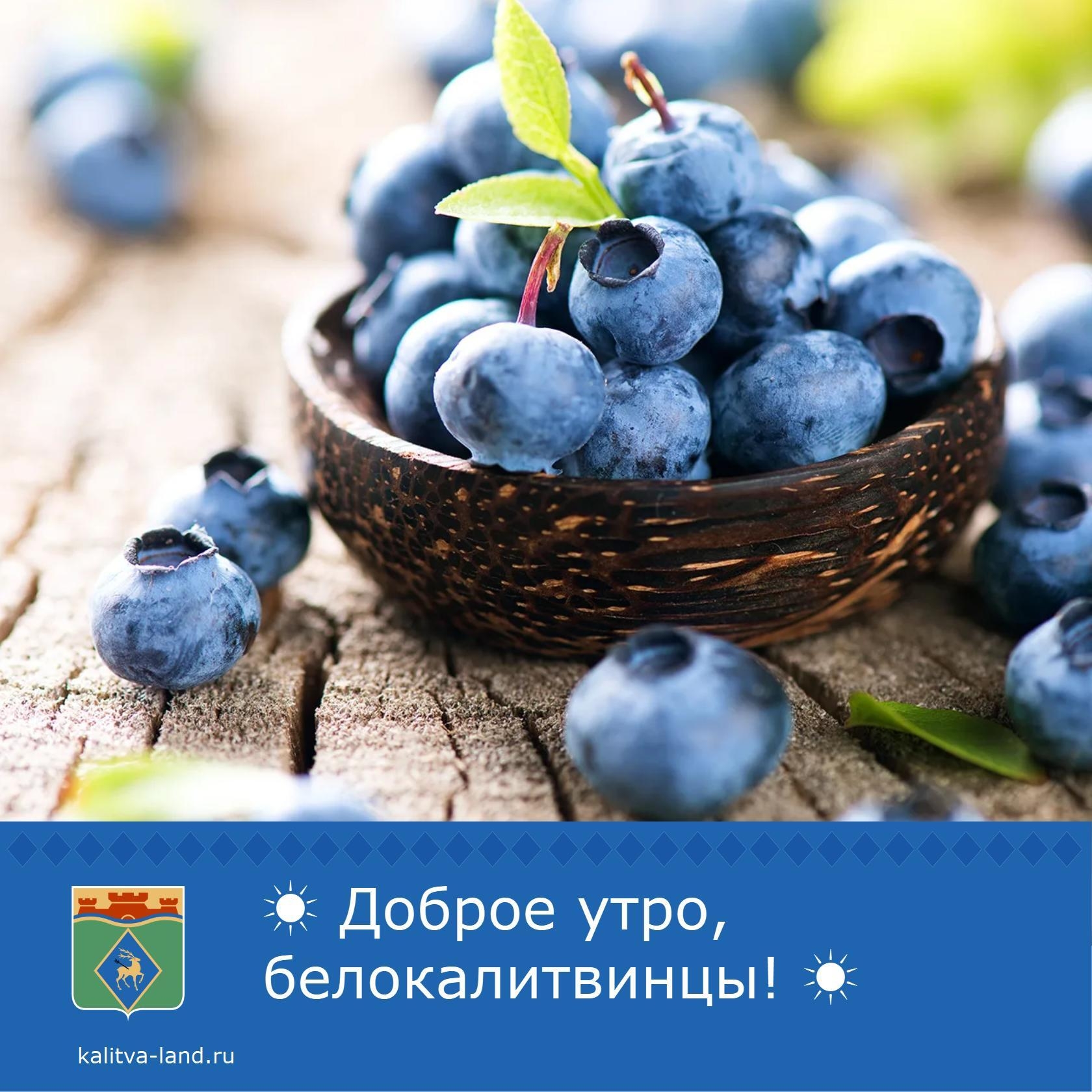✨Доброе утро, белокалитвинцы!
