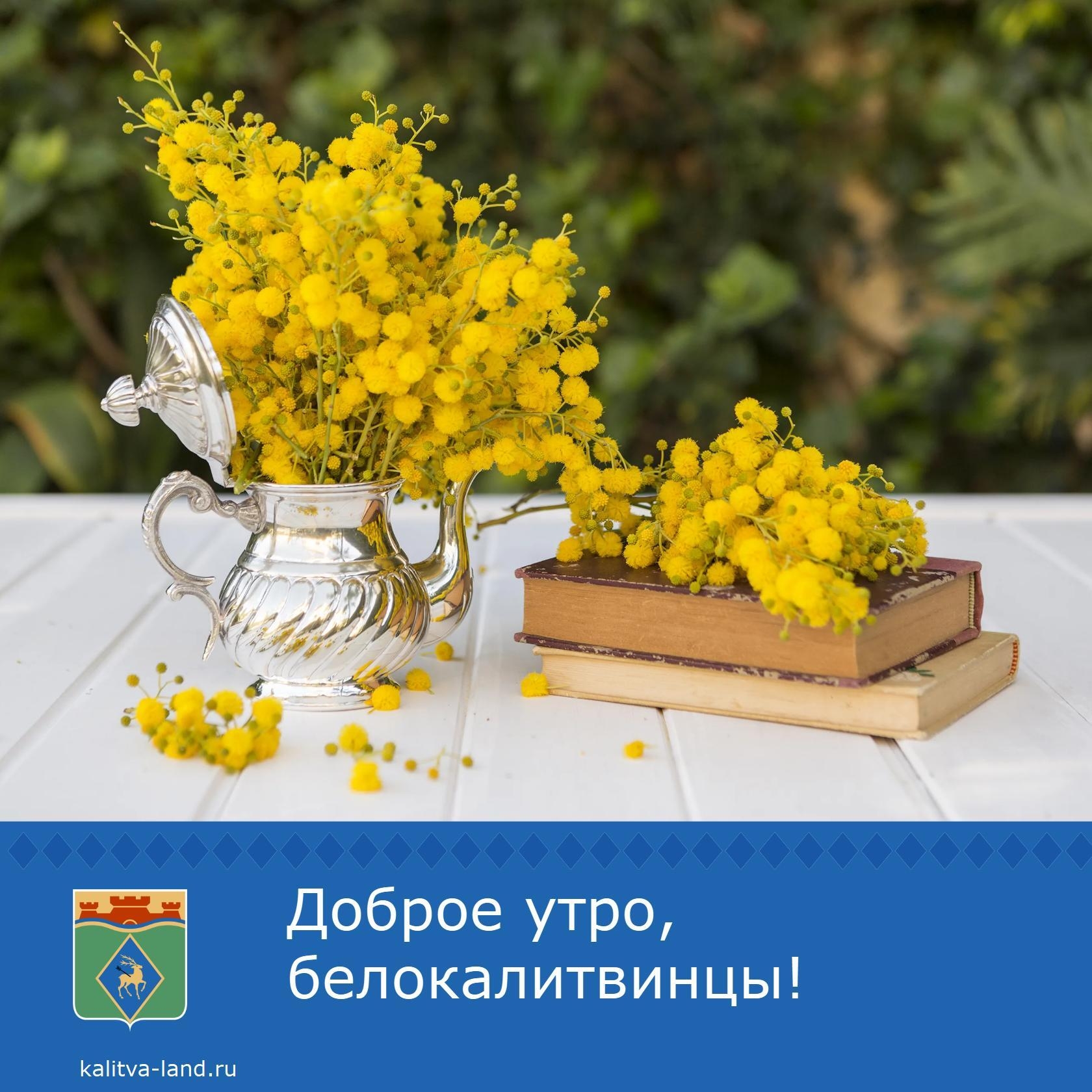 ☁️ Доброе утро, белокалитвинцы!