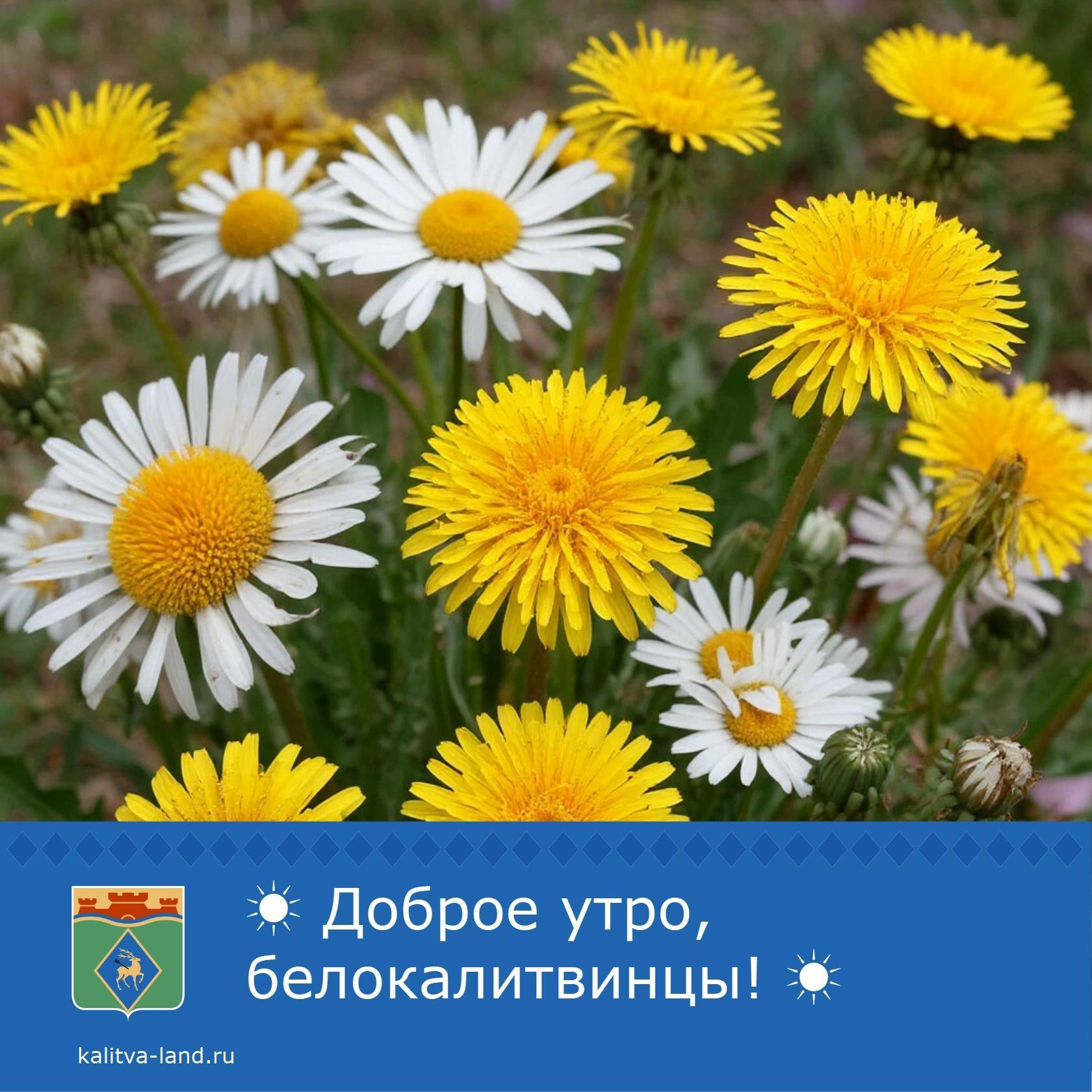 ☁️ Доброе утро, белокалитвинцы!