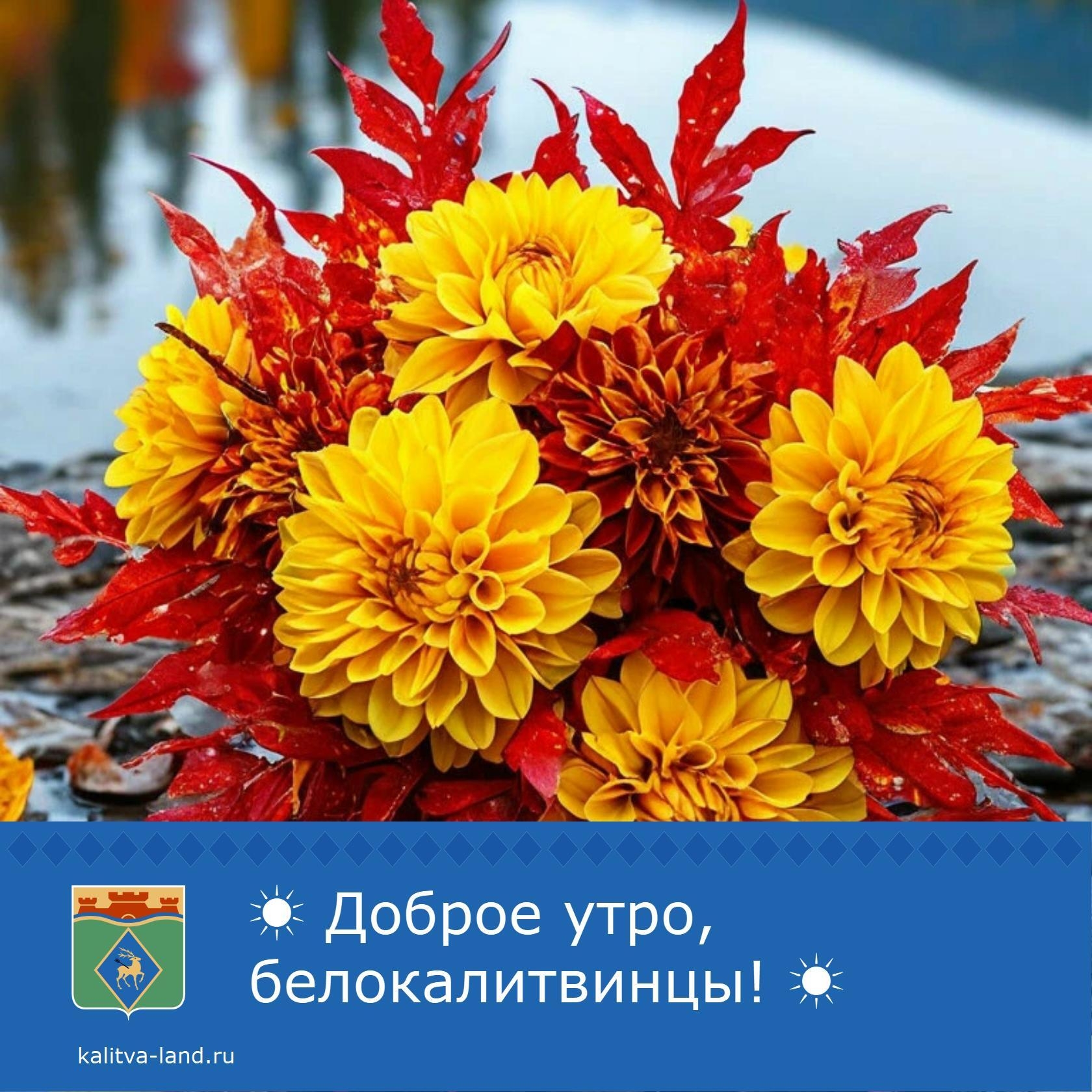 ☁️ Доброе утро, белокалитвинцы!