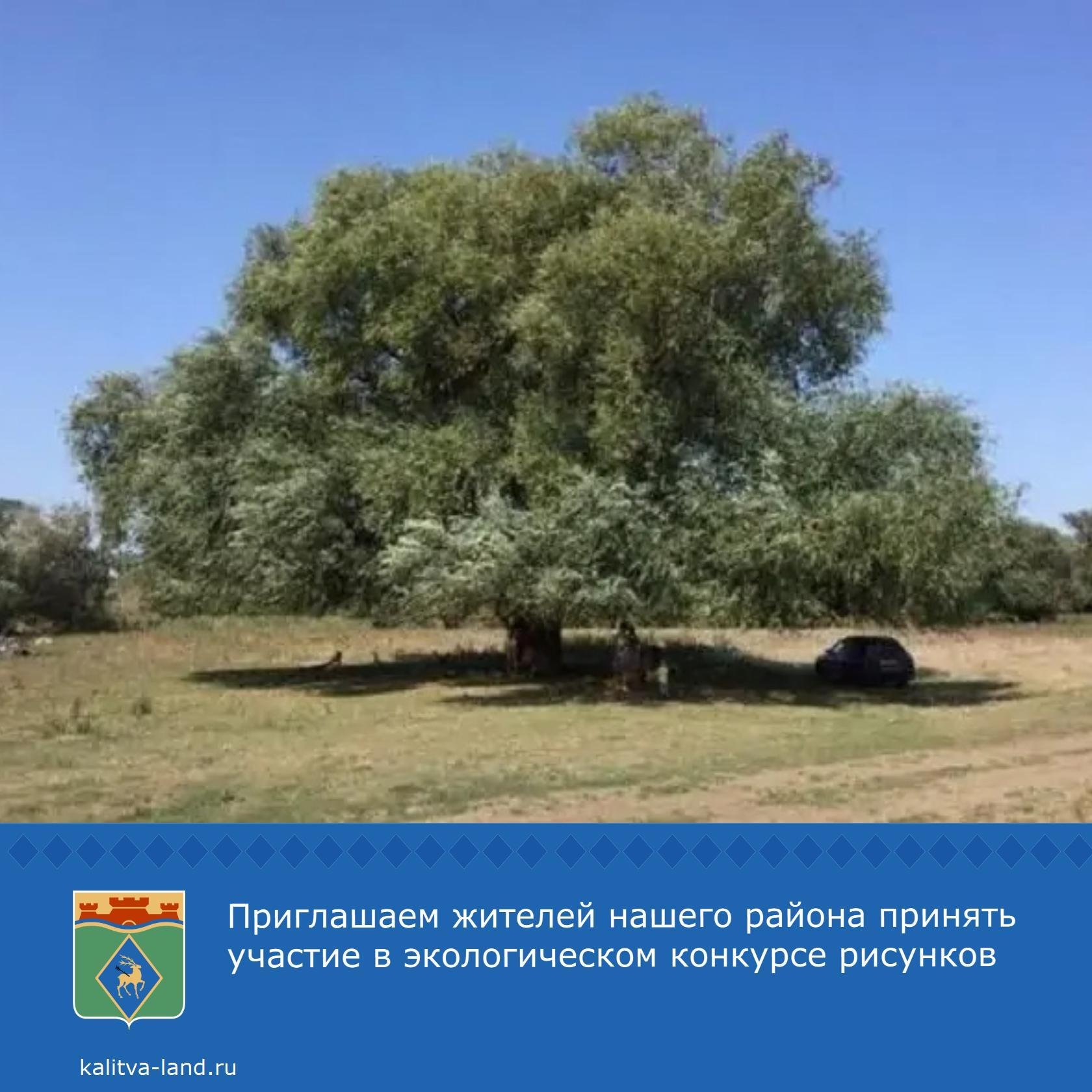  Администрация Белокалитвинского района приглашает юных белокалитвинце...
