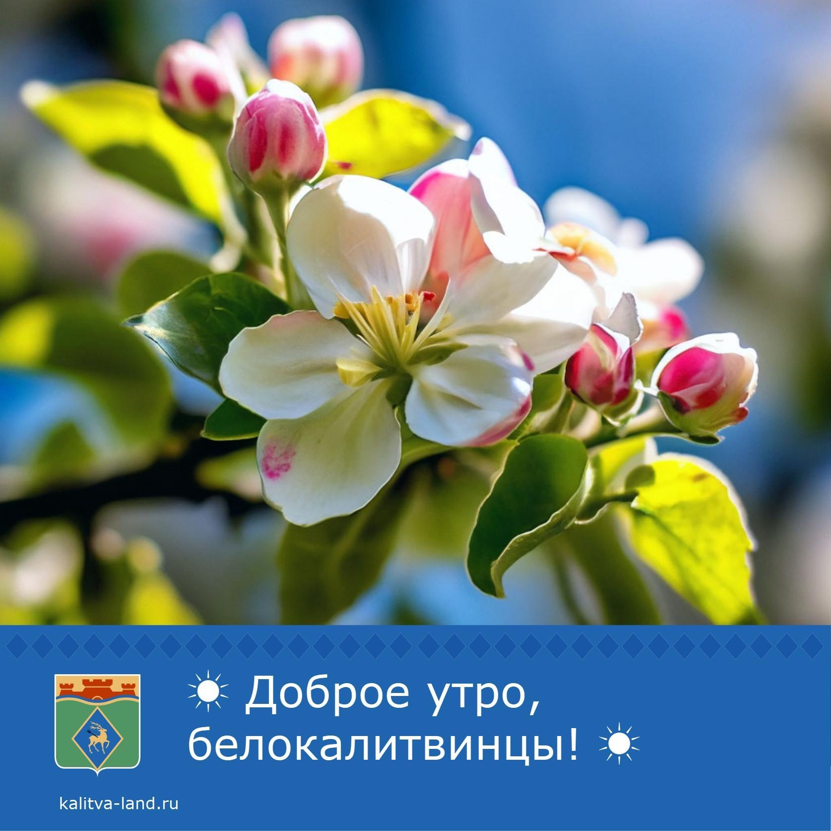  Доброе утро, белокалитвинцы!