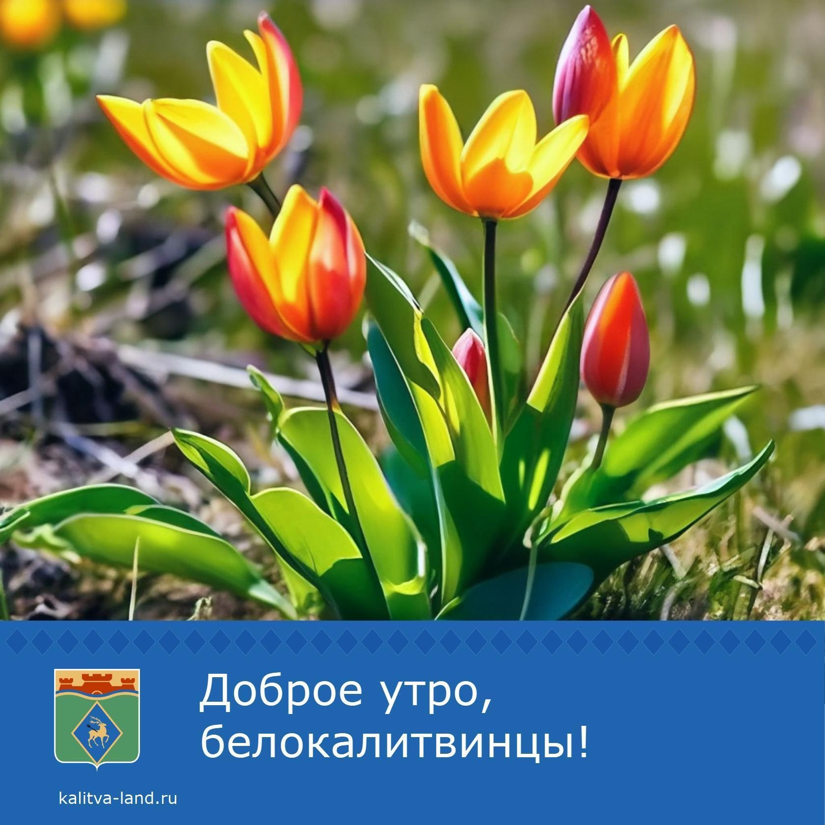 ☁️ Доброе утро, белокалитвинцы!