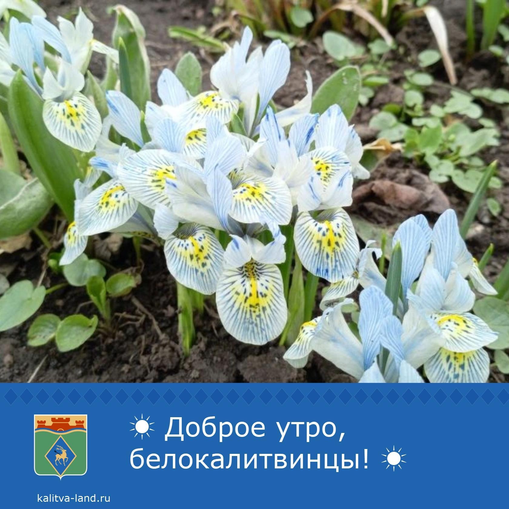 ☁️ Доброе утро, белокалитвинцы!