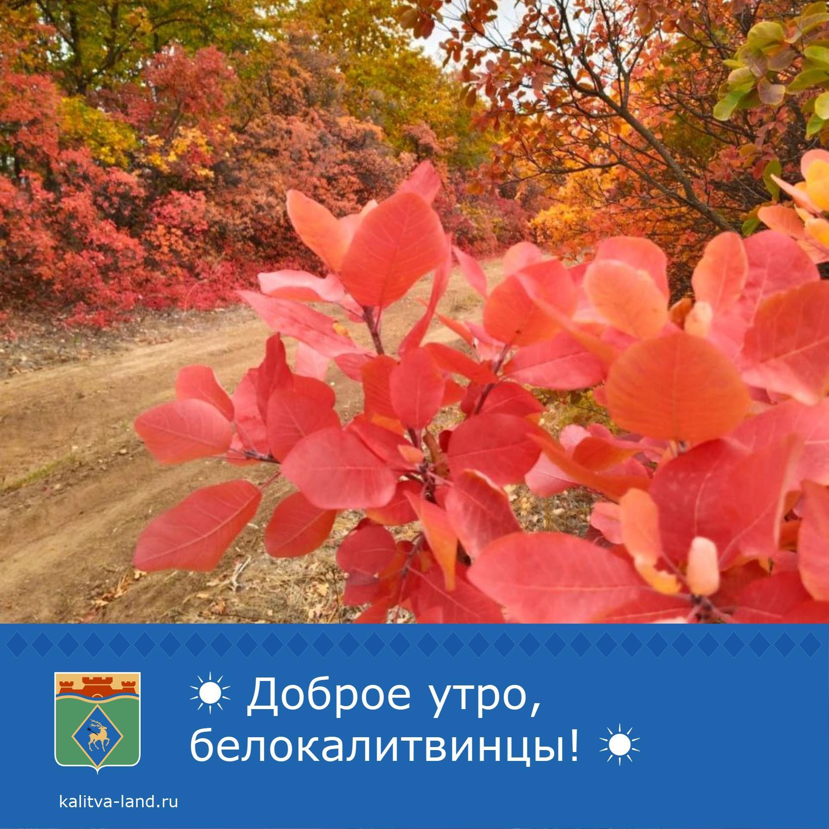 ☁️ Доброе утро, белокалитвинцы!