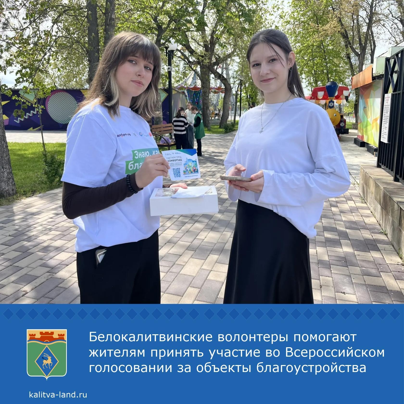  На майские праздники представители Молодёжной администрации Белокалитвинского района помогали жителям принять участие во Всероссийском онлайн-голосов...