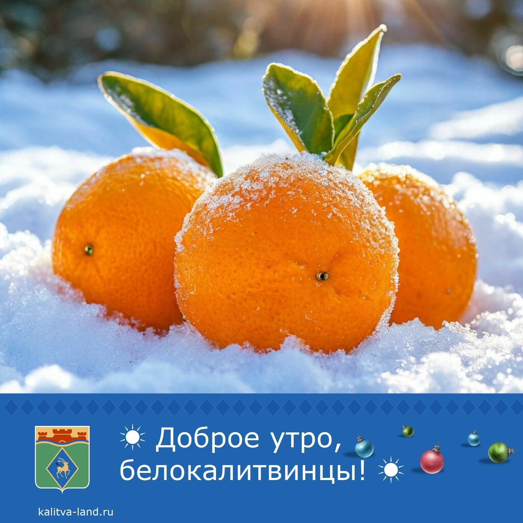 ☁️ Доброе утро, белокалитвинцы!