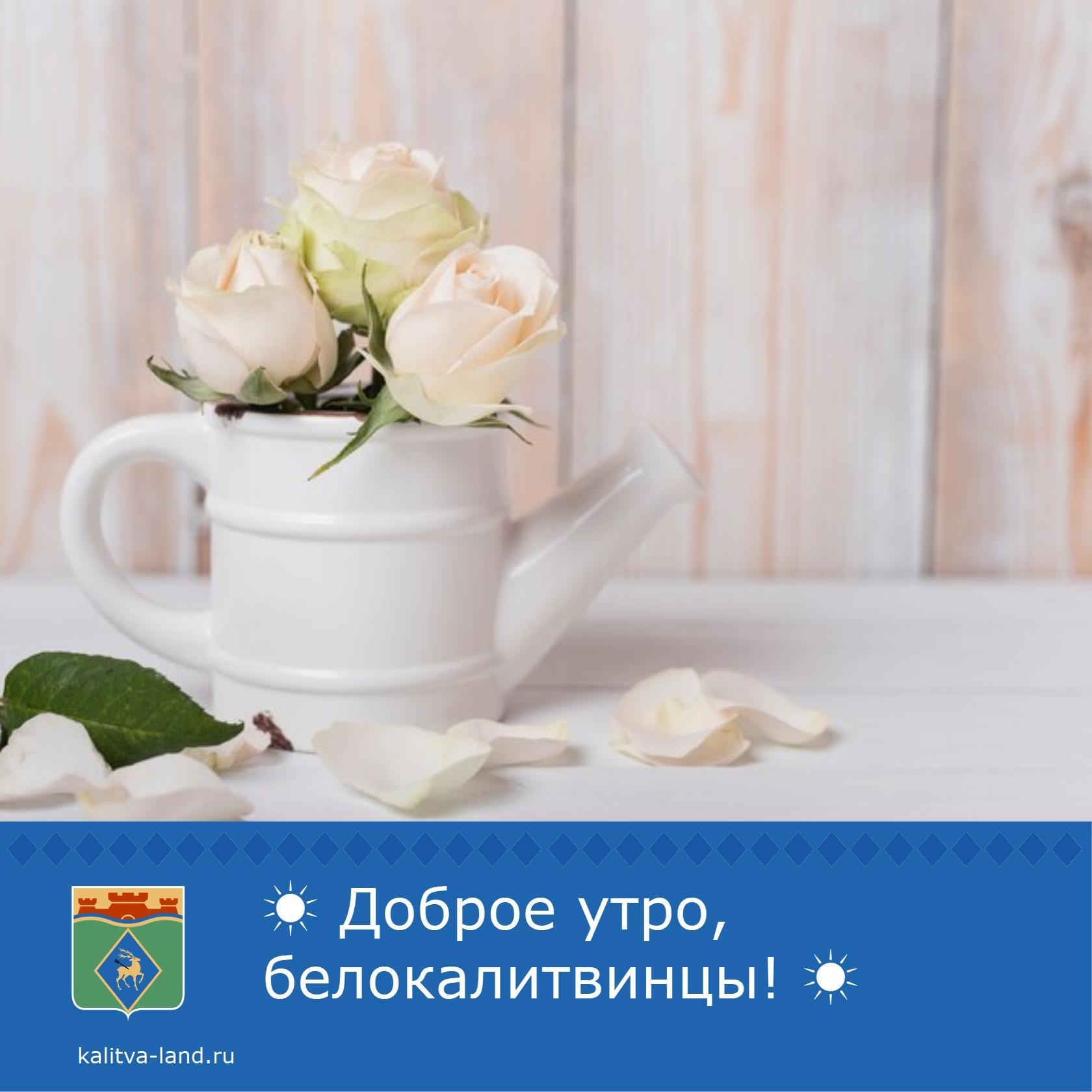 Доброе утро, белокалитвинцы! ☀