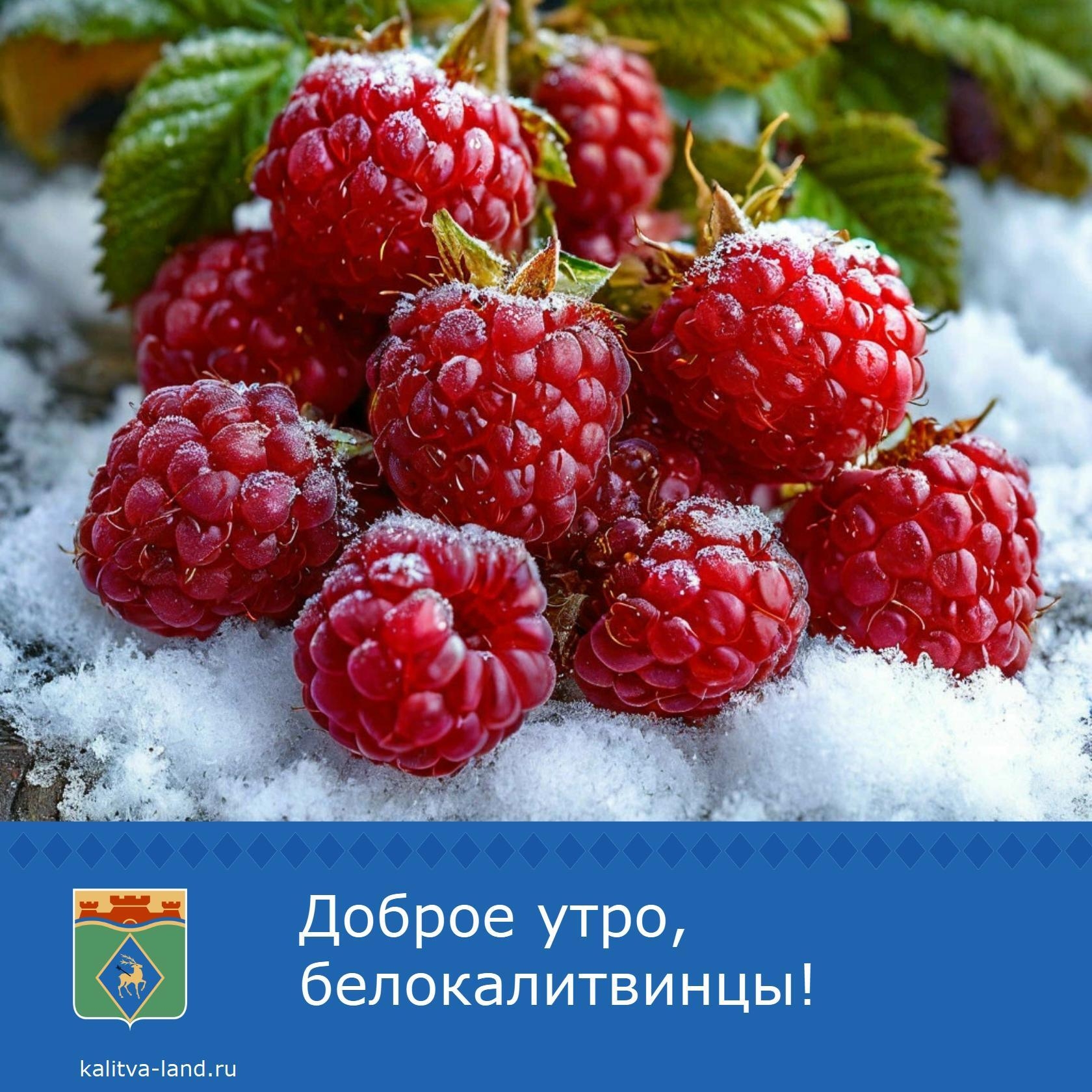 ☁️ Доброе утро, белокалитвинцы!