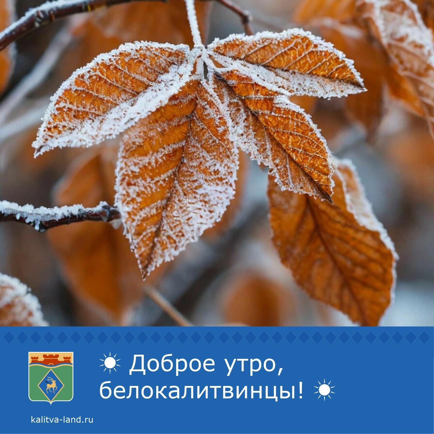 ☁️ Доброе утро, белокалитвинцы!