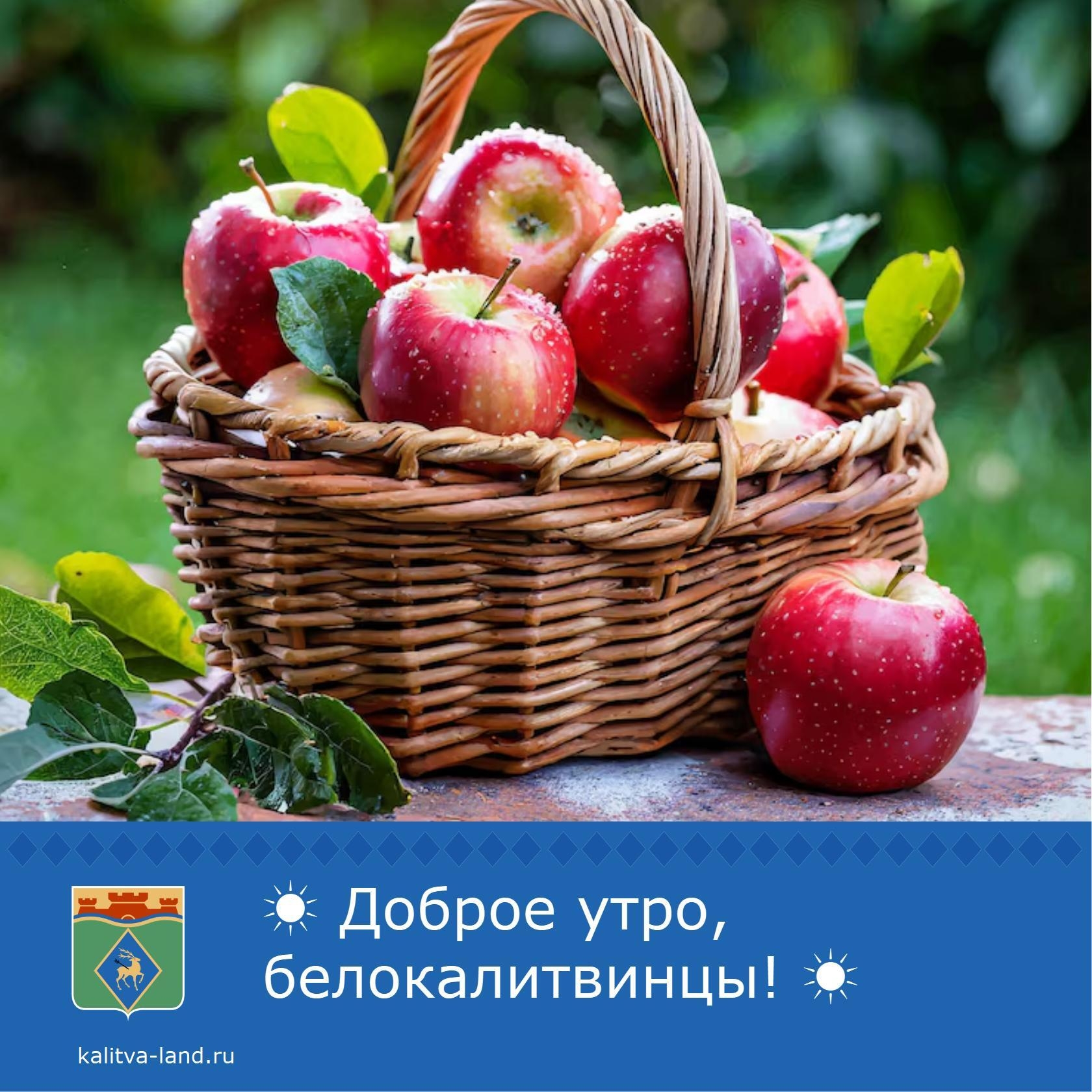  Доброе утро, белокалитвинцы!