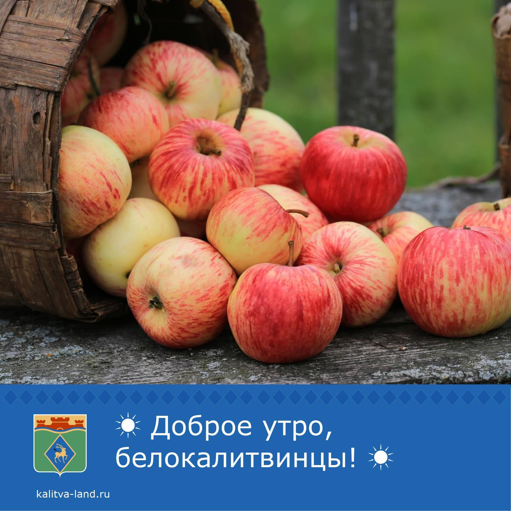  Доброе утро, белокалитвинцы!