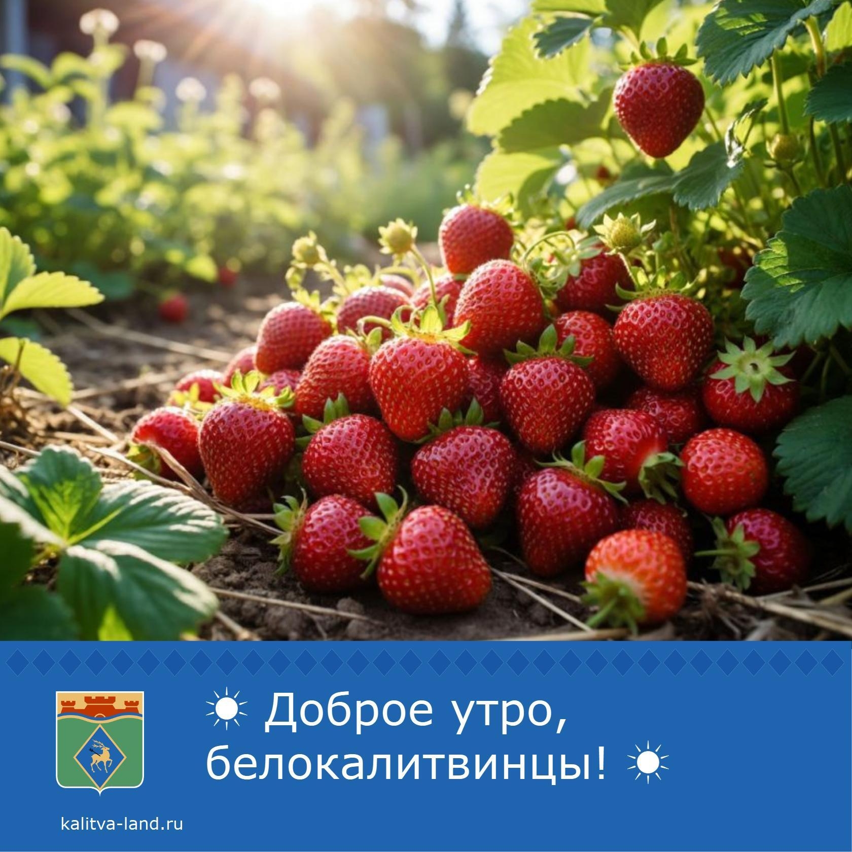 ☀ Доброе утро, белокалитвинцы!