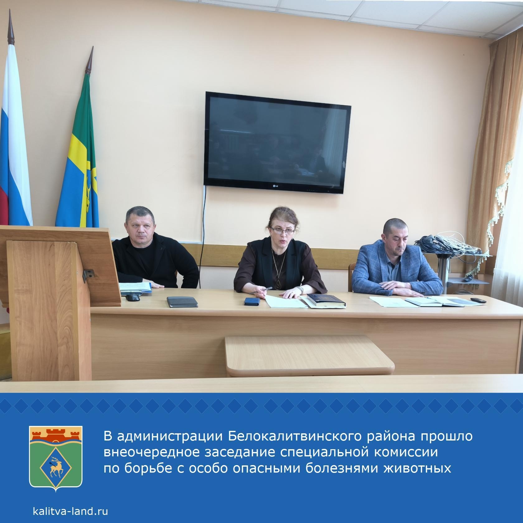  Заместитель главы администрации Белокалитвинского района Елена Керенц...