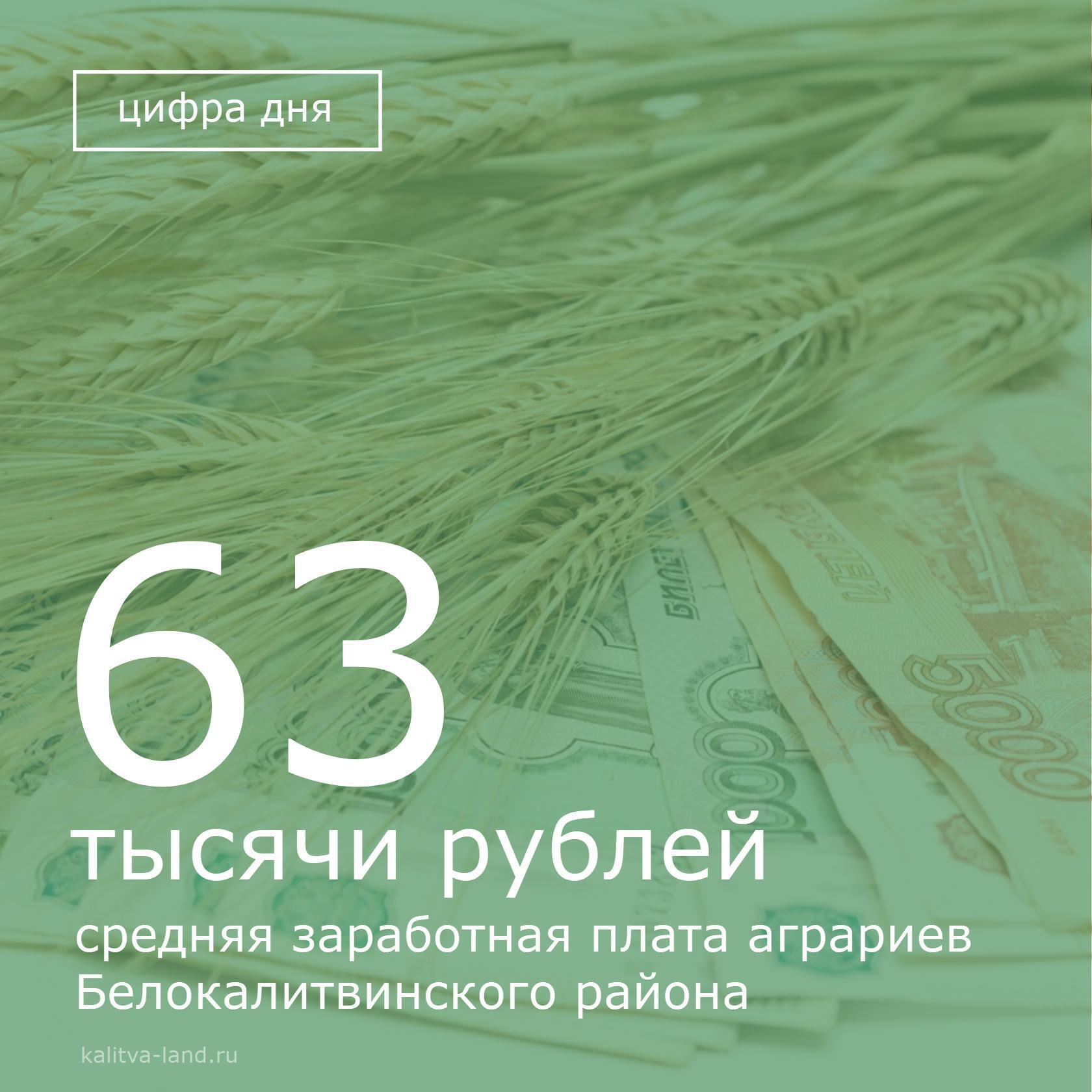 ‍ За 7 месяцев 2025 года зарплата аграриев района стала на 15,4 % выше...