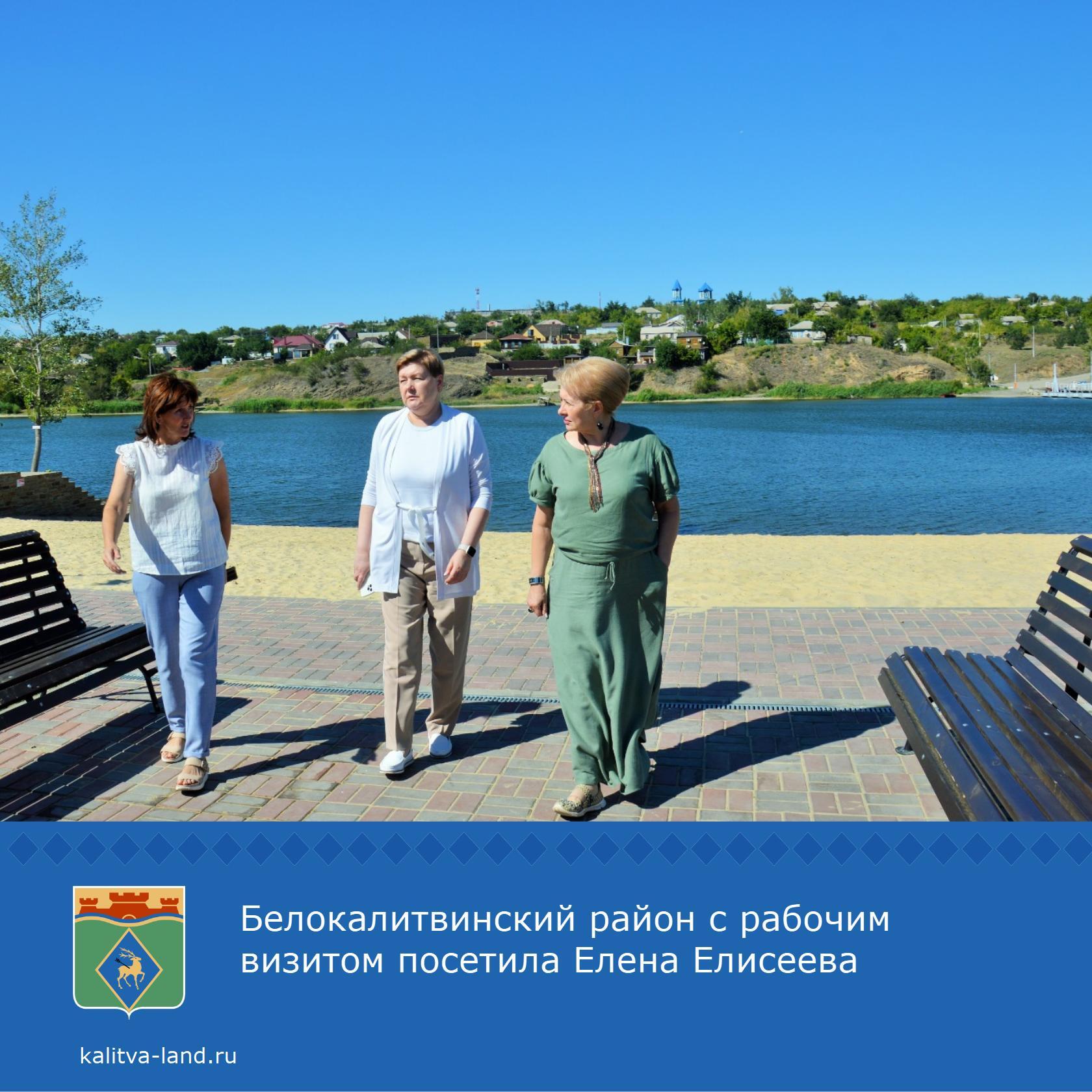  Депутат Законодательного Собрания Ростовской области Елена Елисеева с...