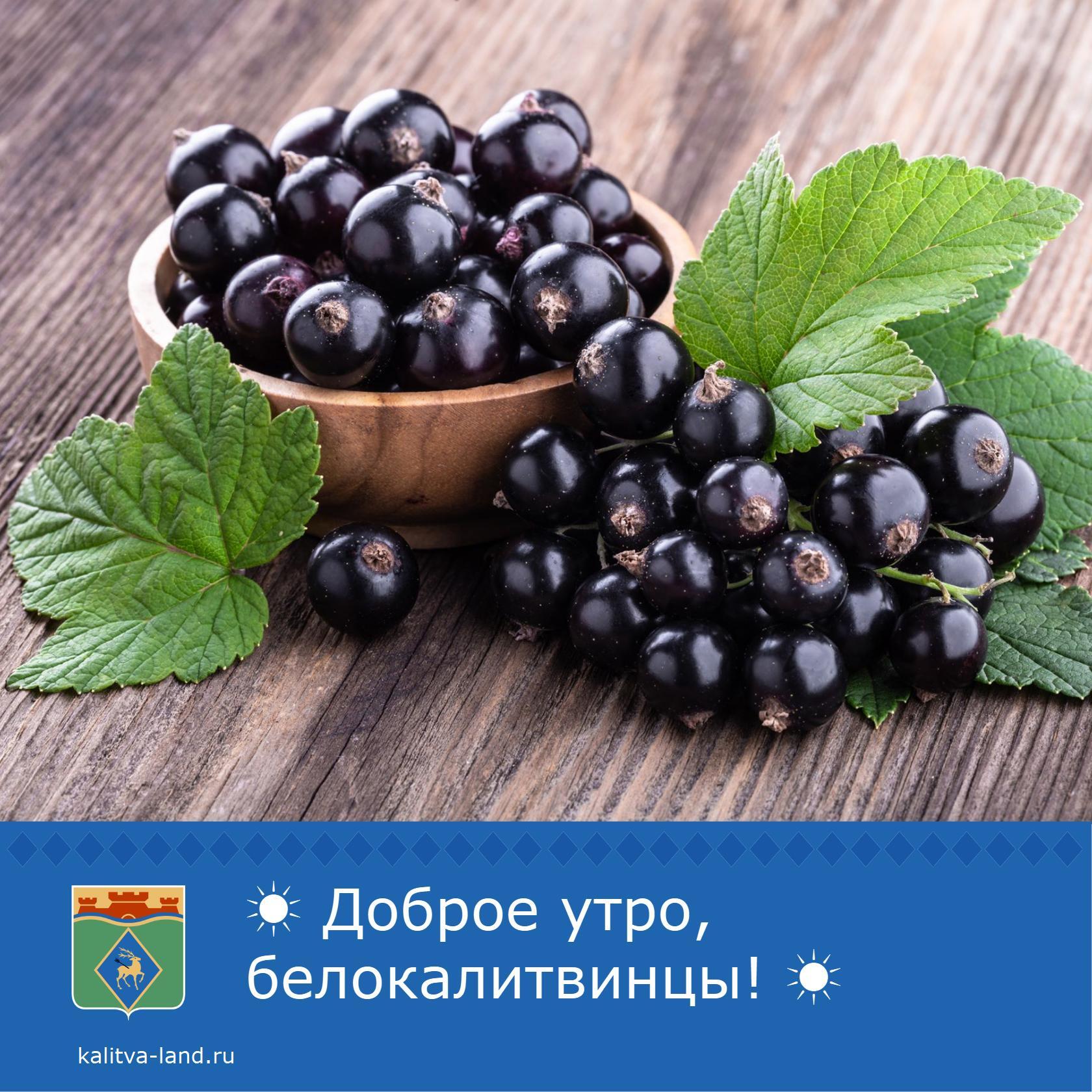  Доброе утро, белокалитвинцы!