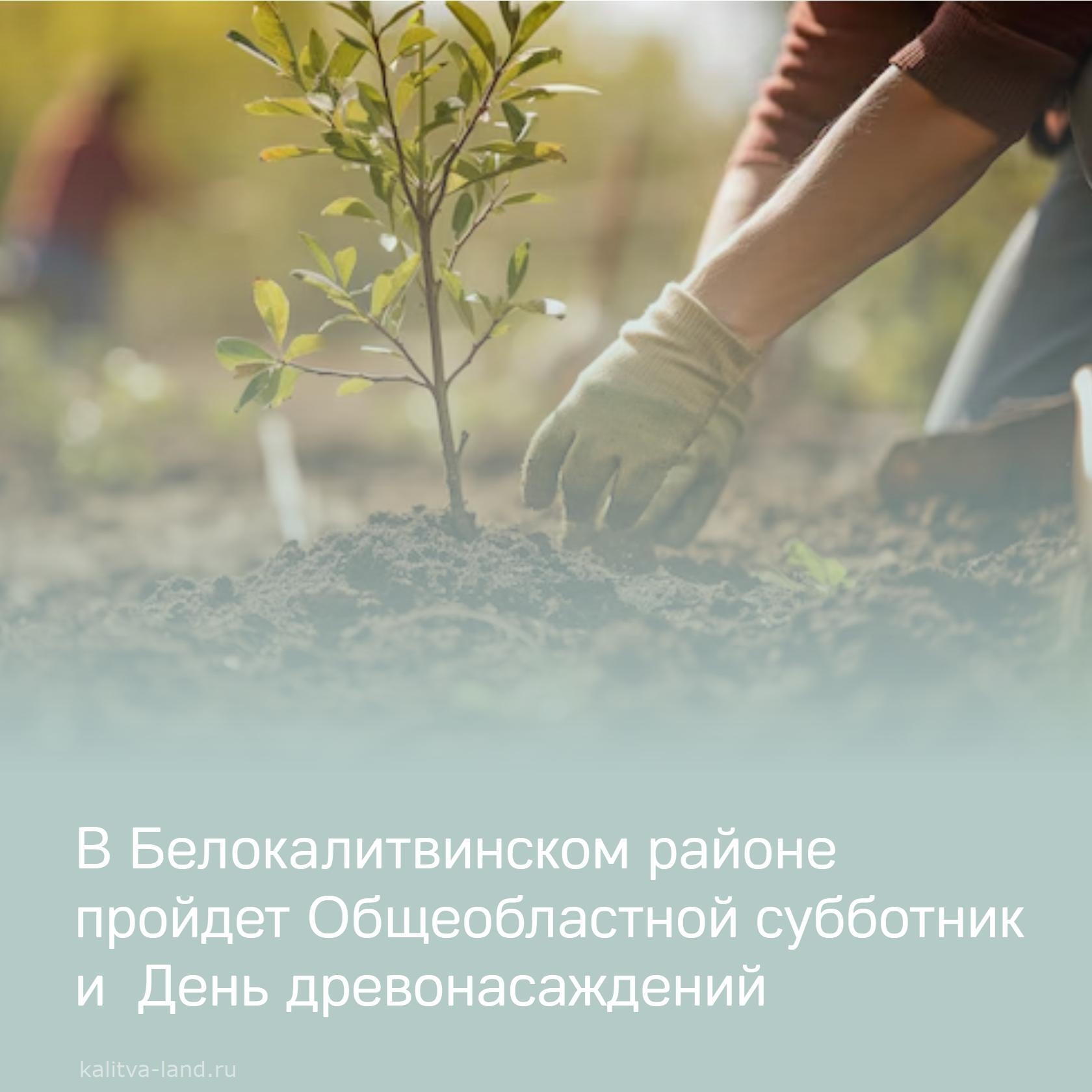  18 апреля в Белокалитвинском районе пройдет Общеобластной субботник и...