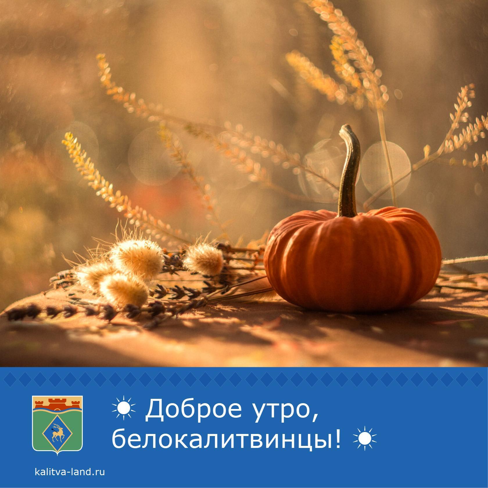  Доброе утро, белокалитвинцы!