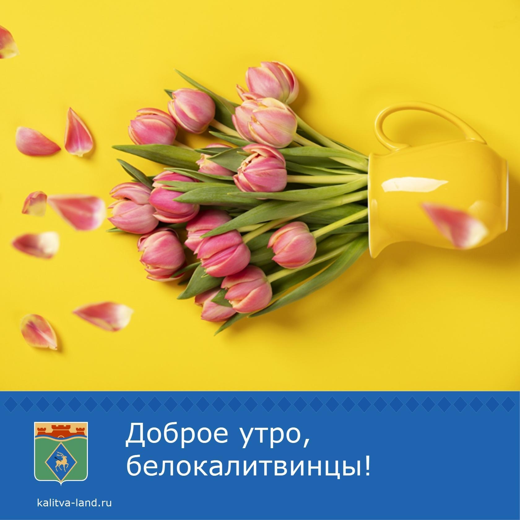 ☀️ Доброе утро, белокалитвинцы!