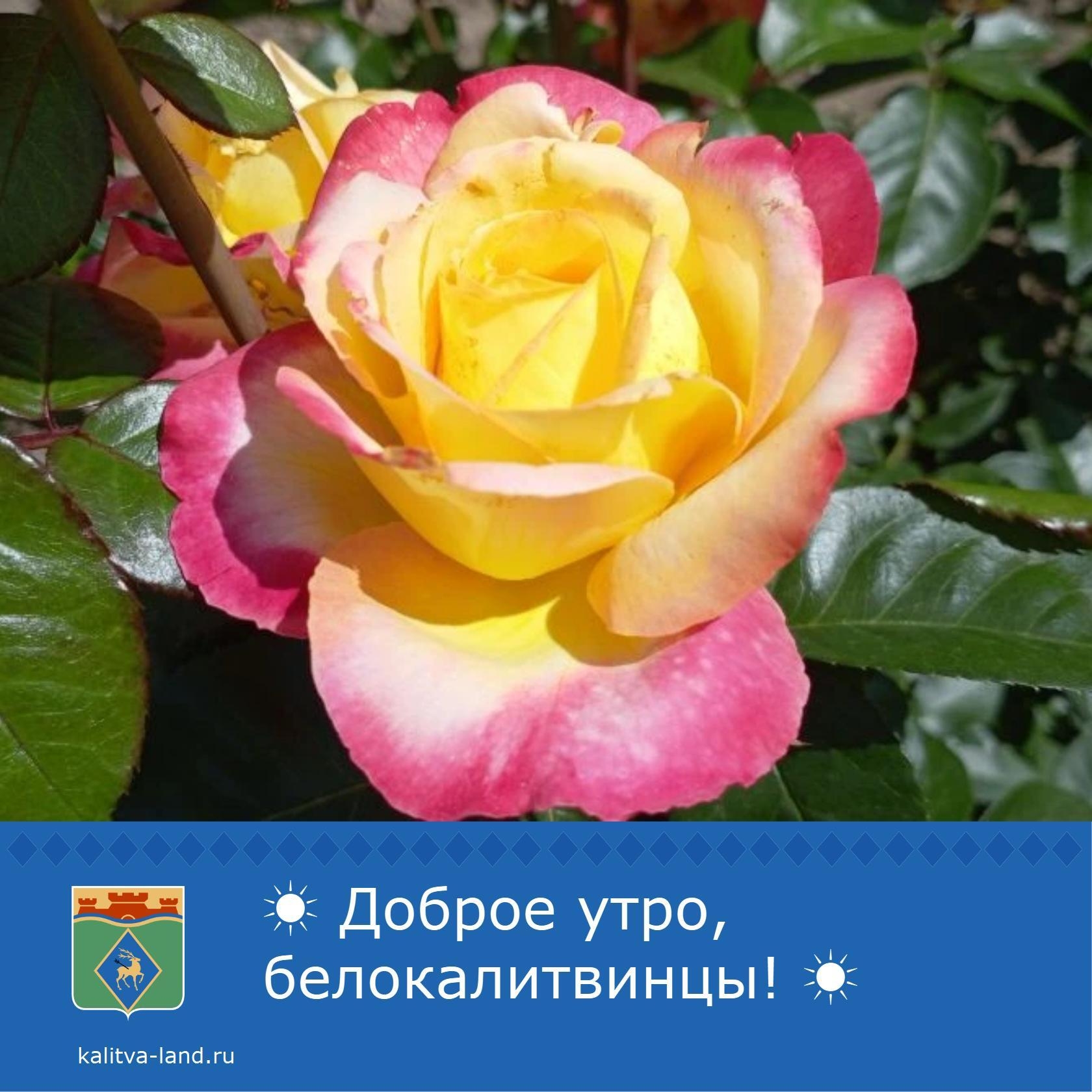 ☀️ Доброе утро, белокалитвинцы!