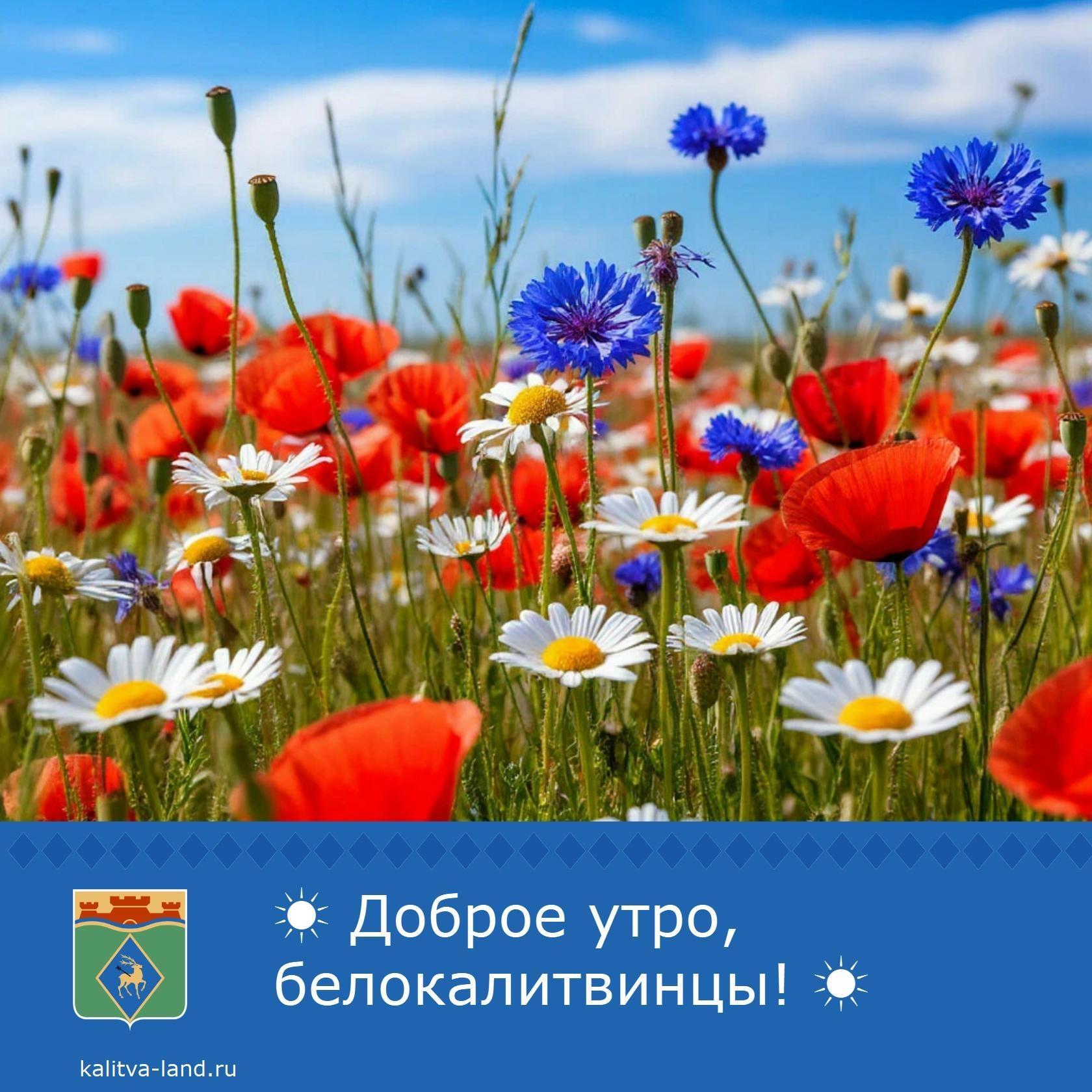 Доброе утро, белокалитвинцы! ☀️