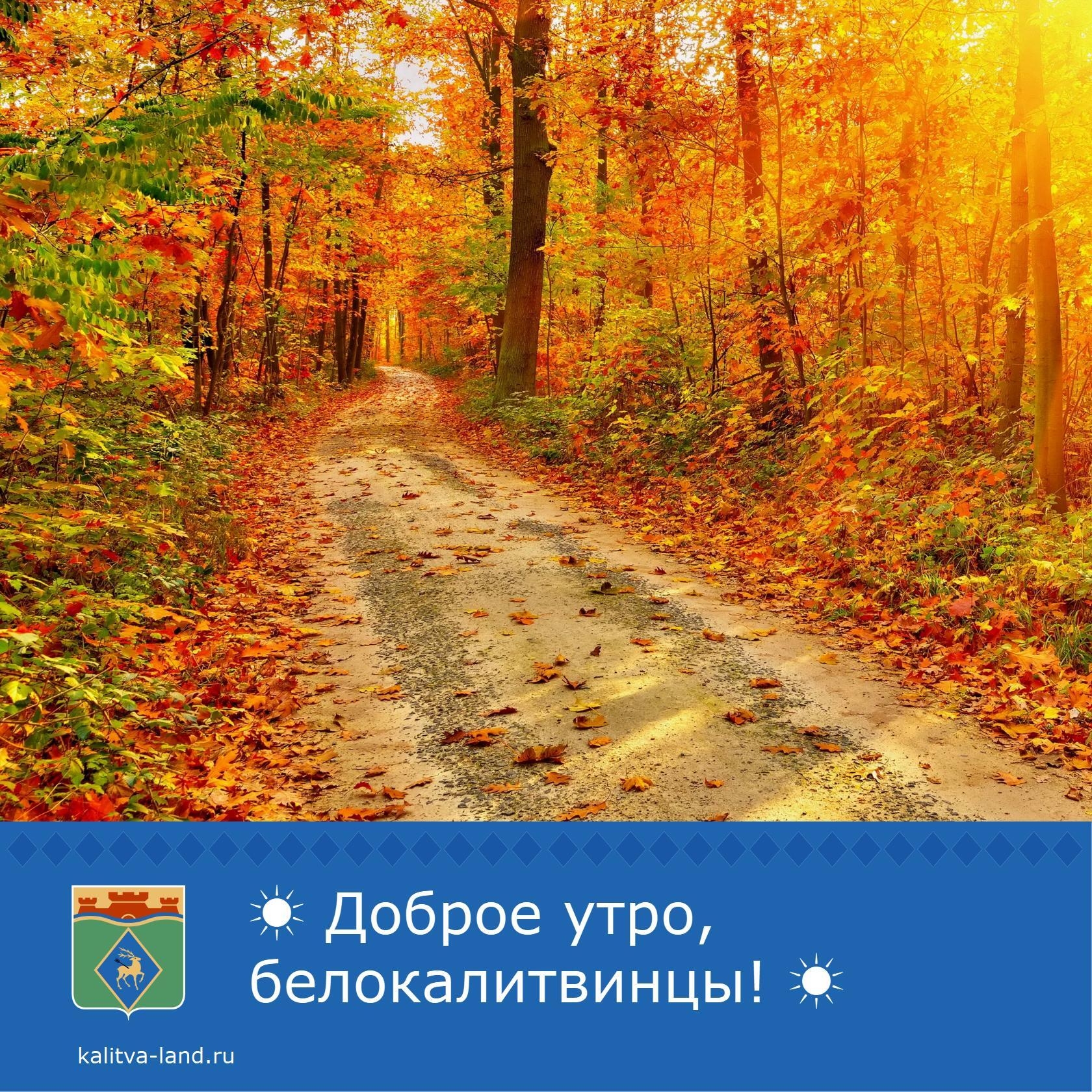 ☁️ Доброе утро, белокалитвинцы!