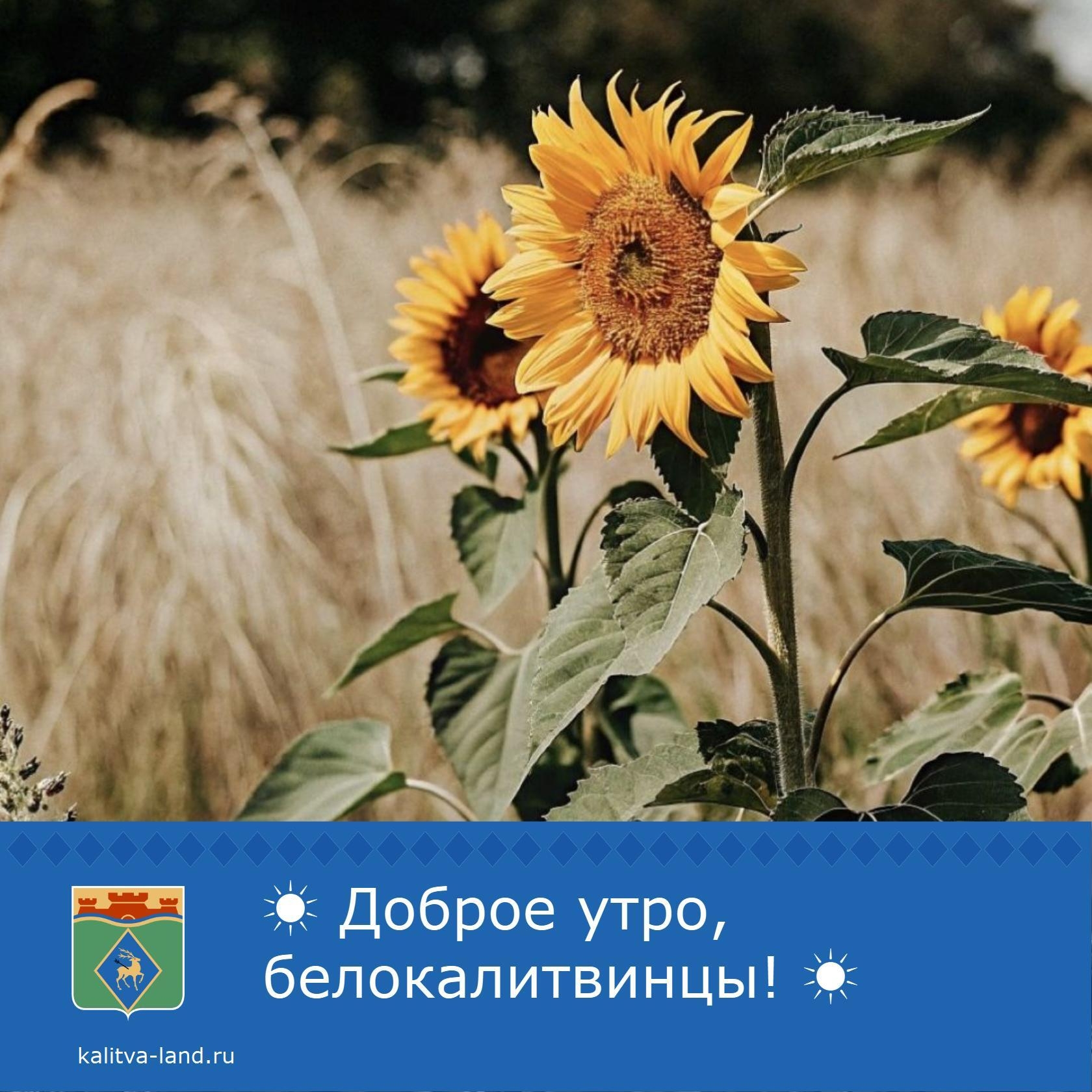 ☀️ Доброе утро, белокалитвинцы!