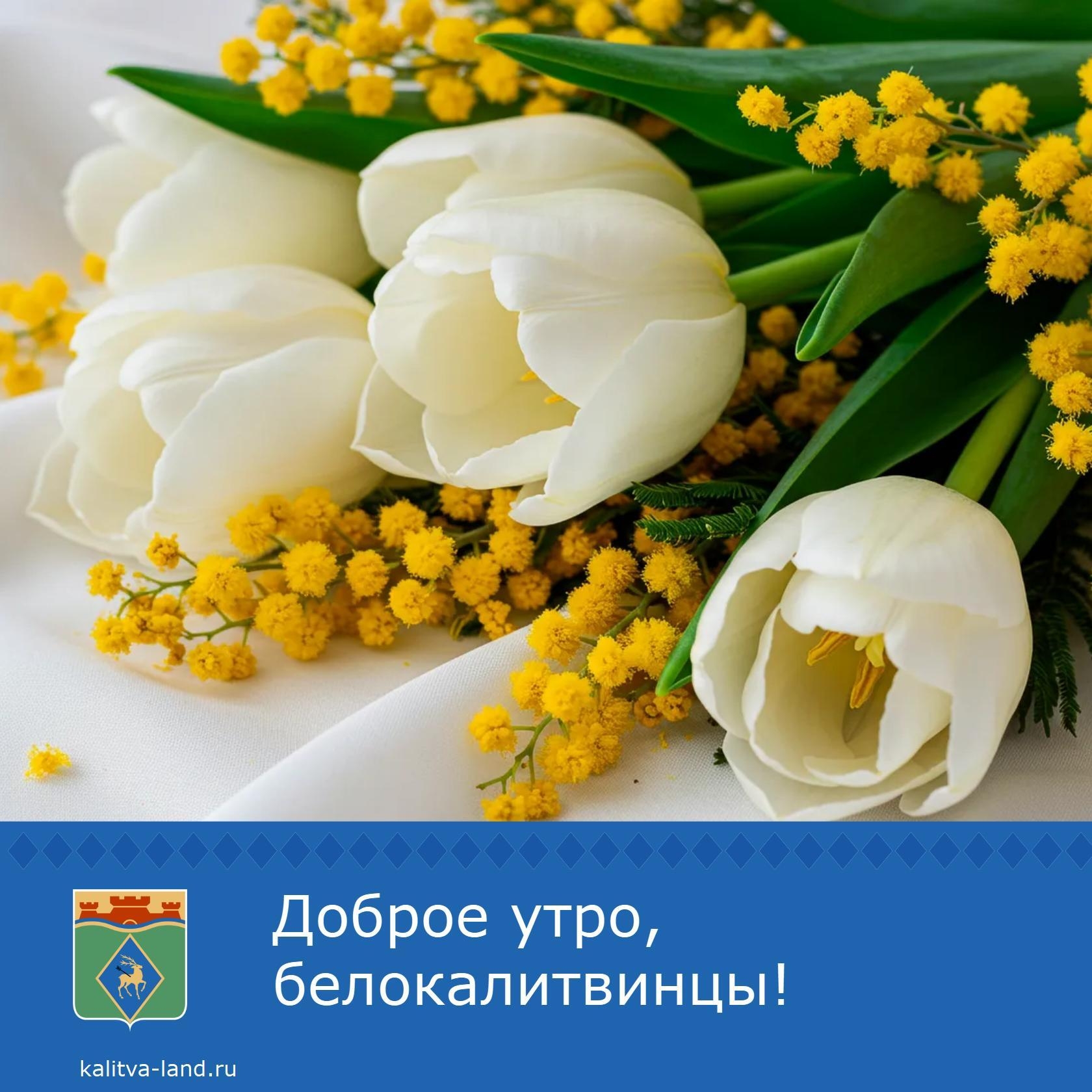 ☁️ Доброе утро, белокалитвинцы!