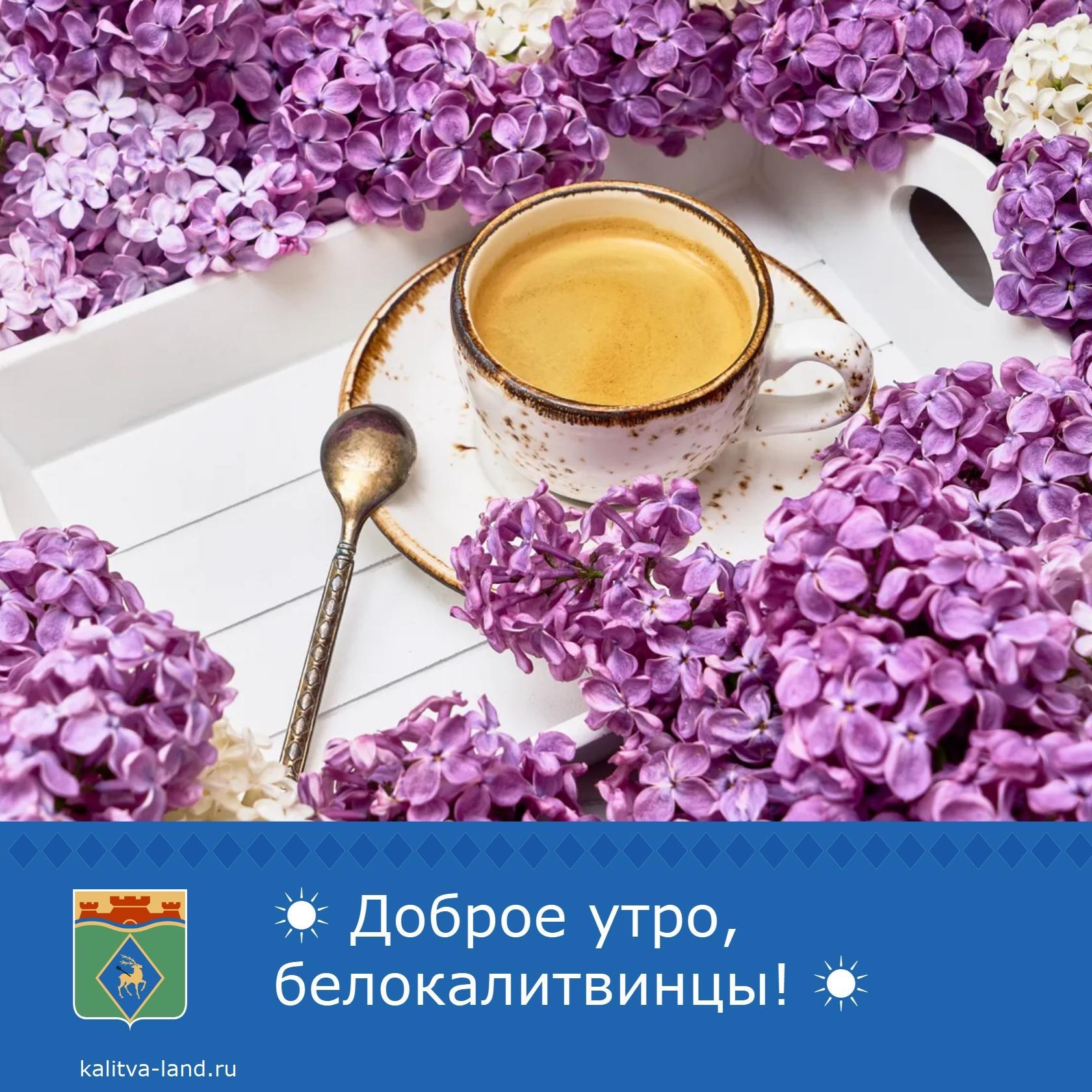 ☀️ Доброе утро, белокалитвинцы!