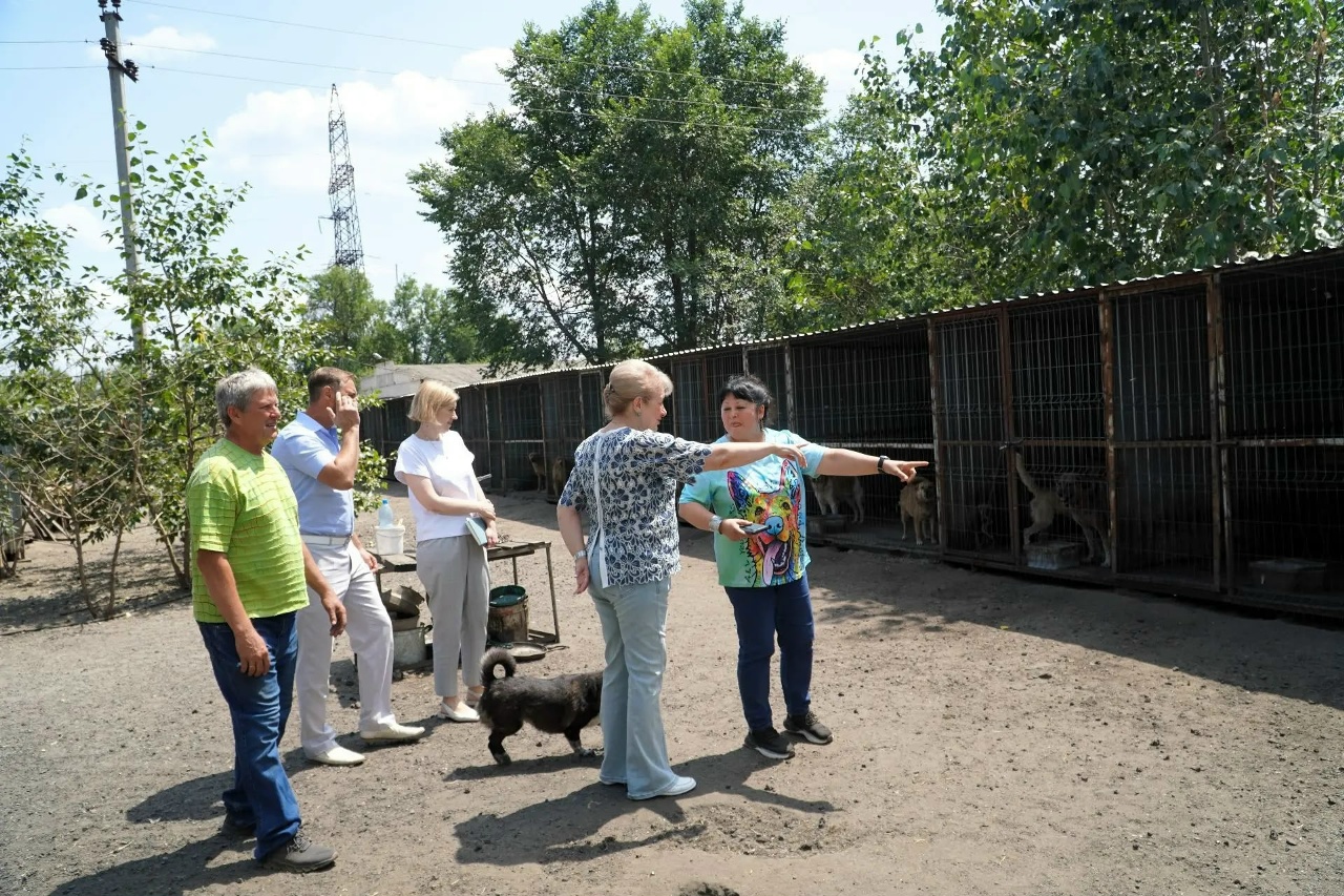 Глава Администрации района Ольга Мельникова посетила городскую  общественную организацию защиты животных «Доброе сердце»