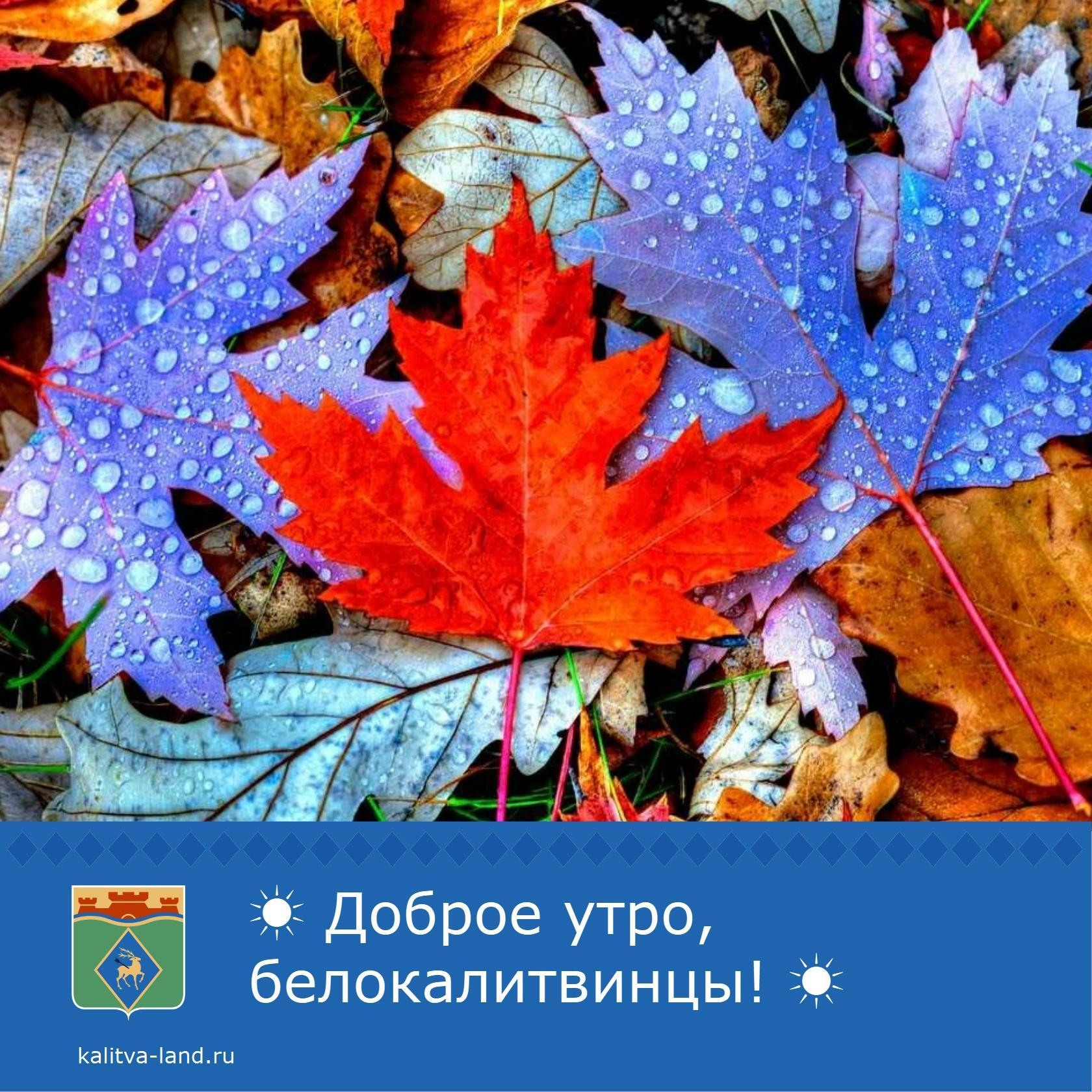 ☁️ Доброе утро, белокалитвинцы!