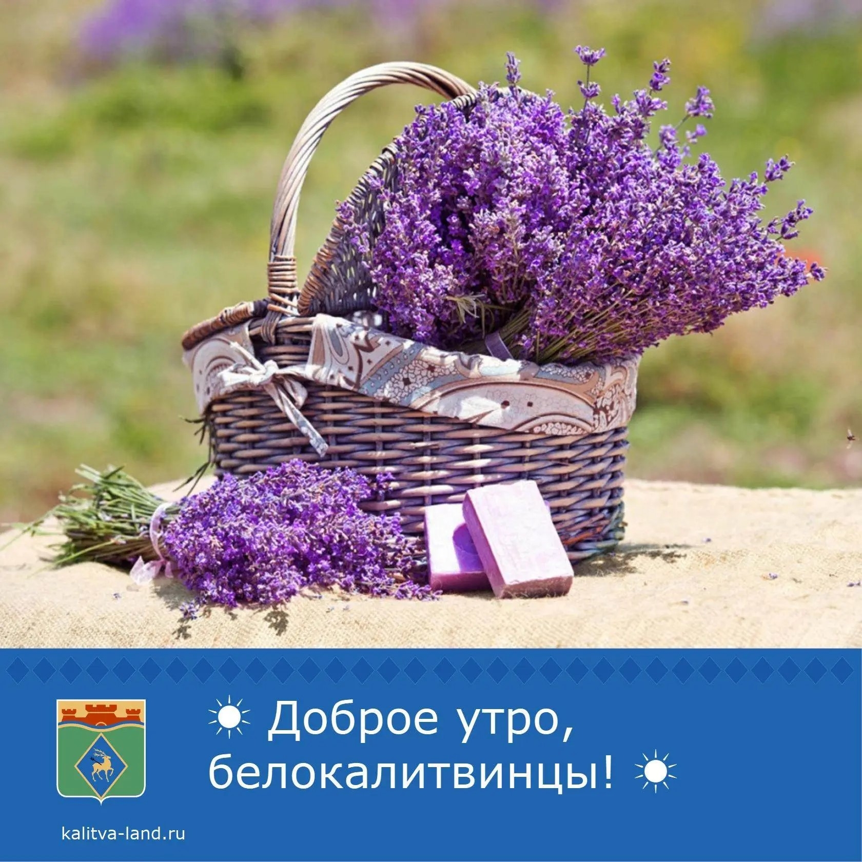 ☀ Доброе утро, белокалитвинцы!