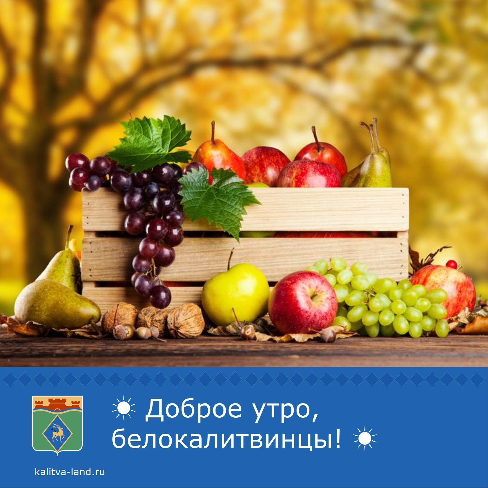  Доброе утро, белокалитвинцы!