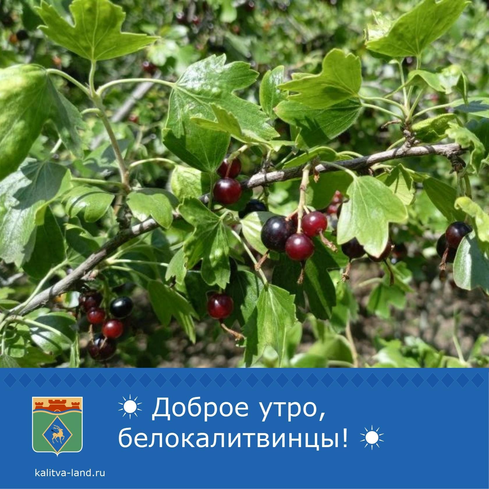 Доброе утро, белокалитвинцы!