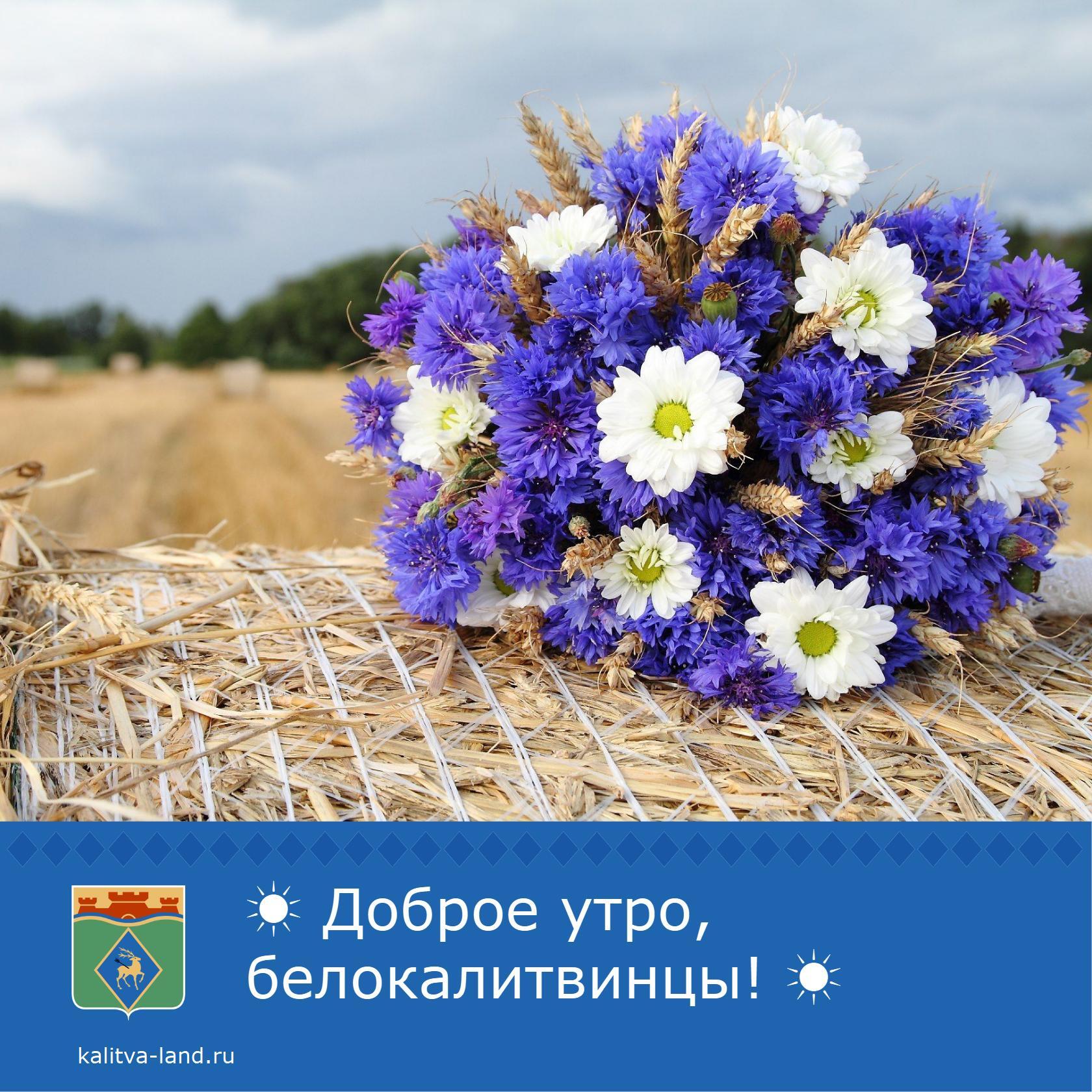  Доброе утро, белокалитвинцы!