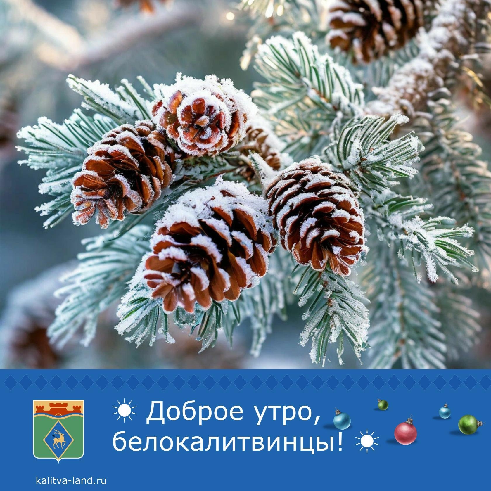  Доброе утро, белокалитвинцы!