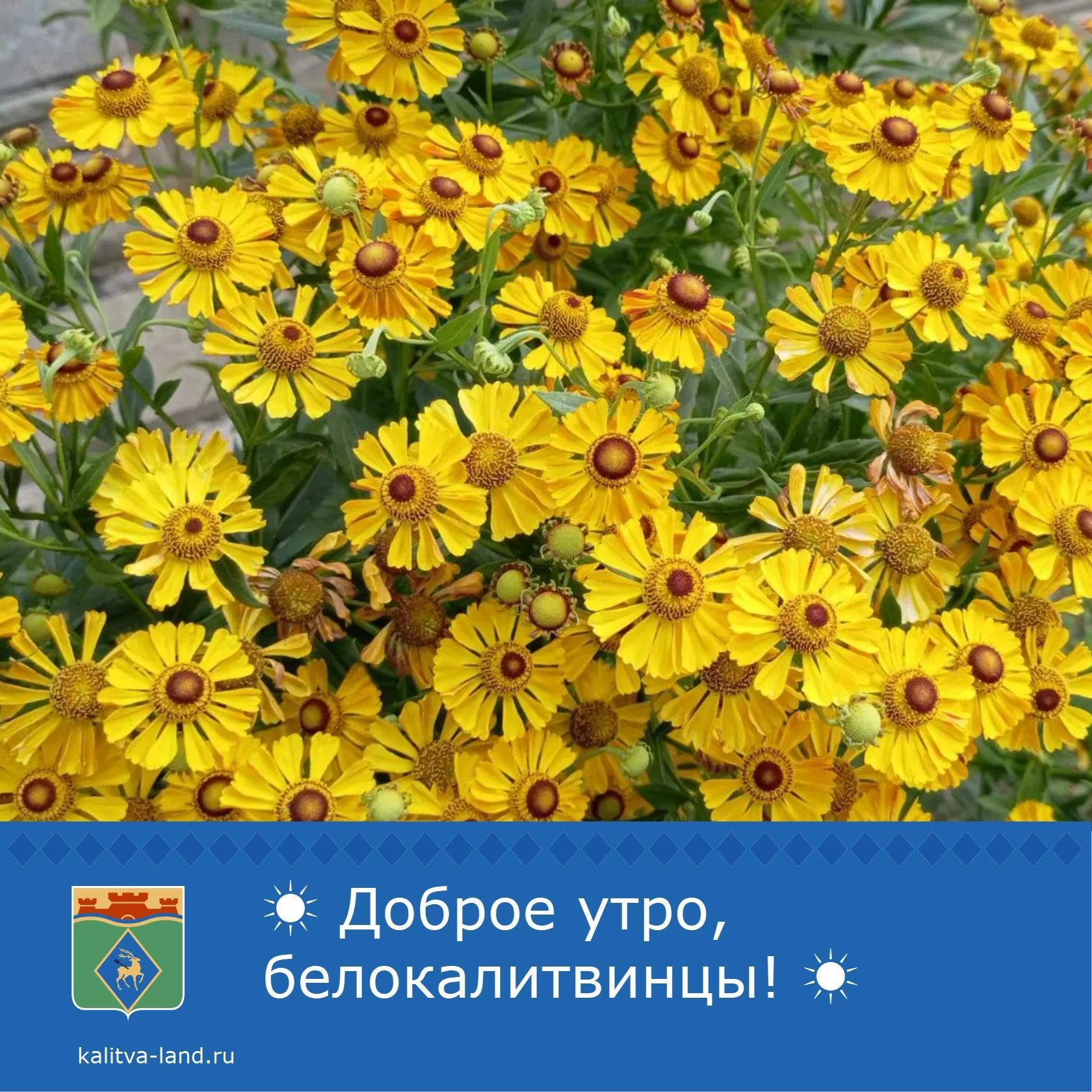 Доброе утро, белокалитвинцы!