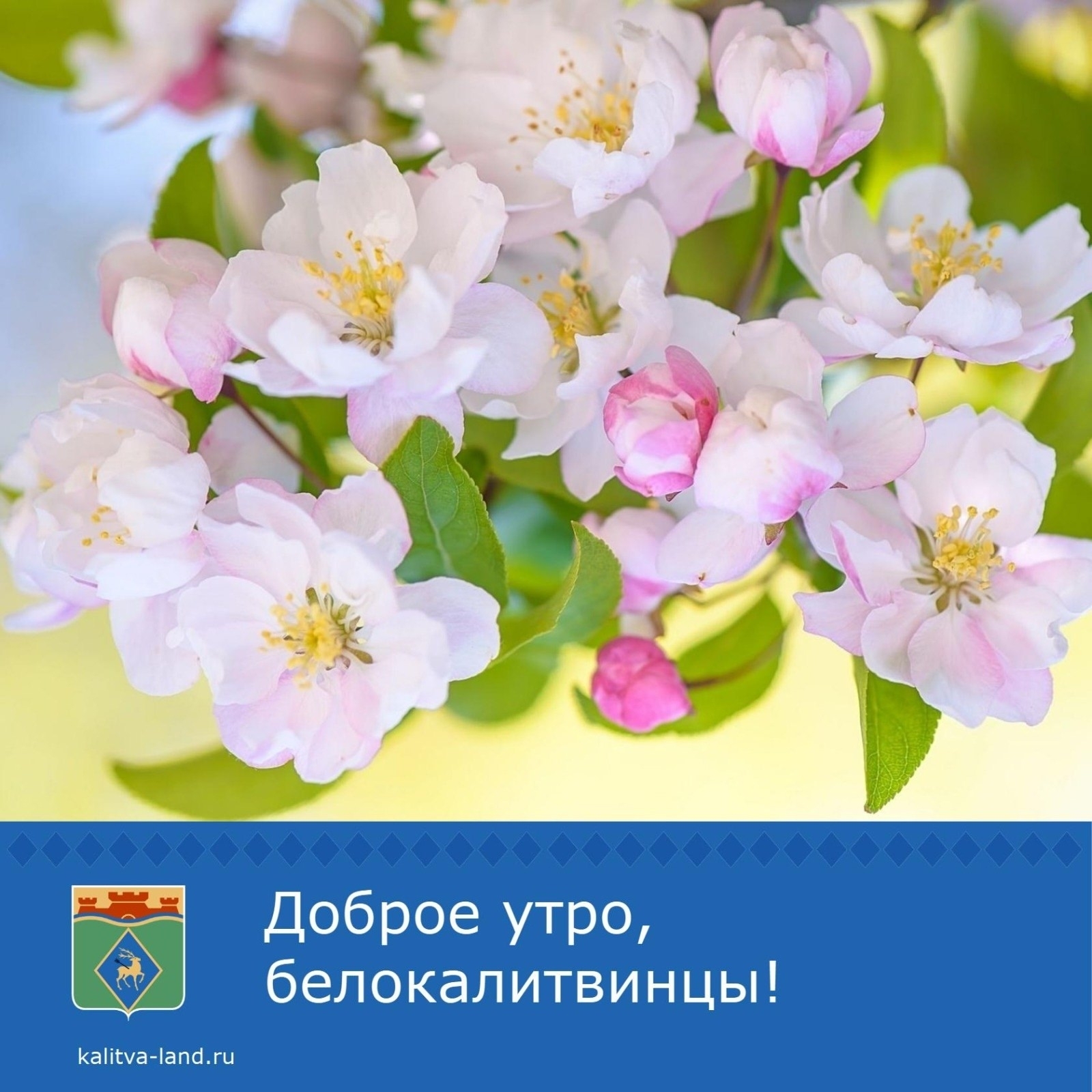 ☀️ Доброе утро, белокалитвинцы!