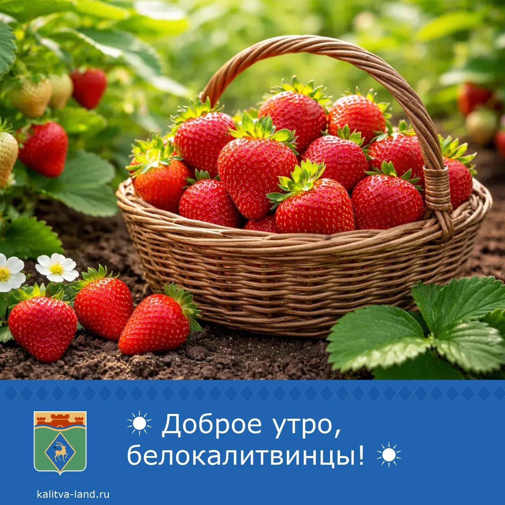 ✨ Доброе утро, белокалитвинцы!