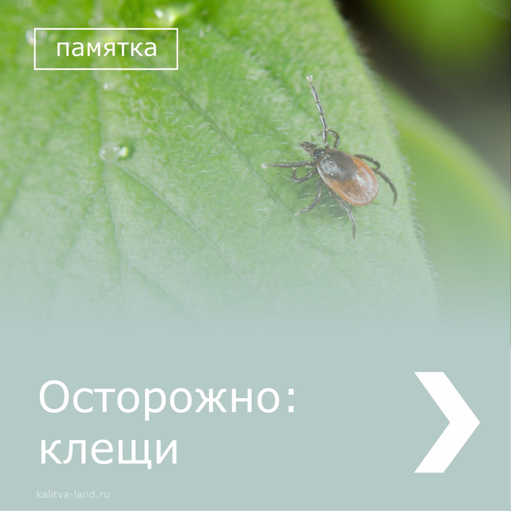 Уважаемые белокалитвинцы!