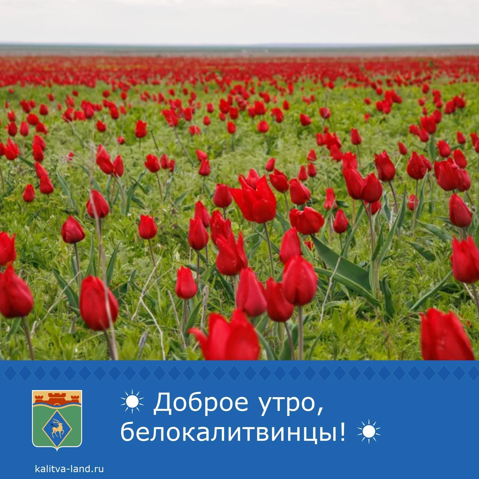  Доброе утро, белокалитвинцы!