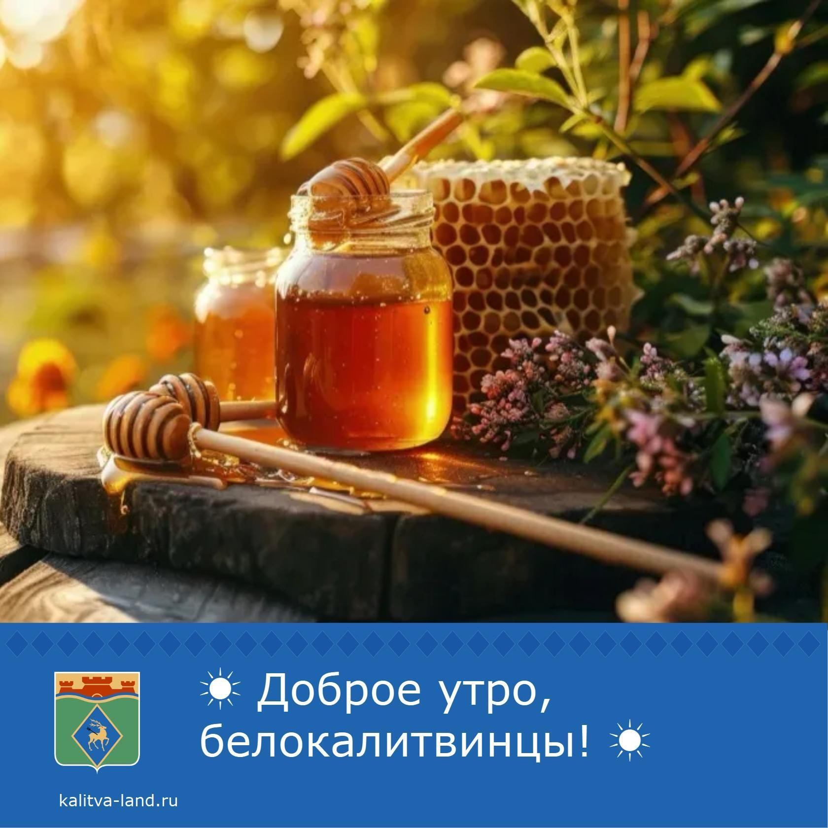  Доброе утро, белокалитвинцы!