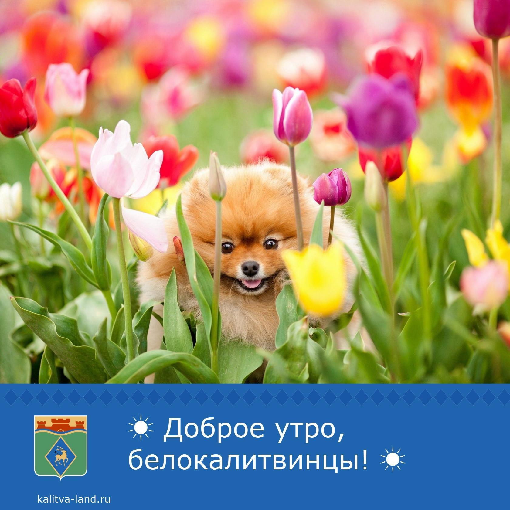  Доброе утро, белокалитвинцы!