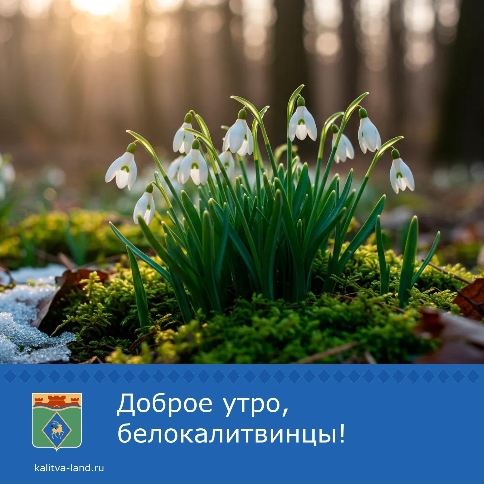 ☁️ Доброе утро, белокалитвинцы!