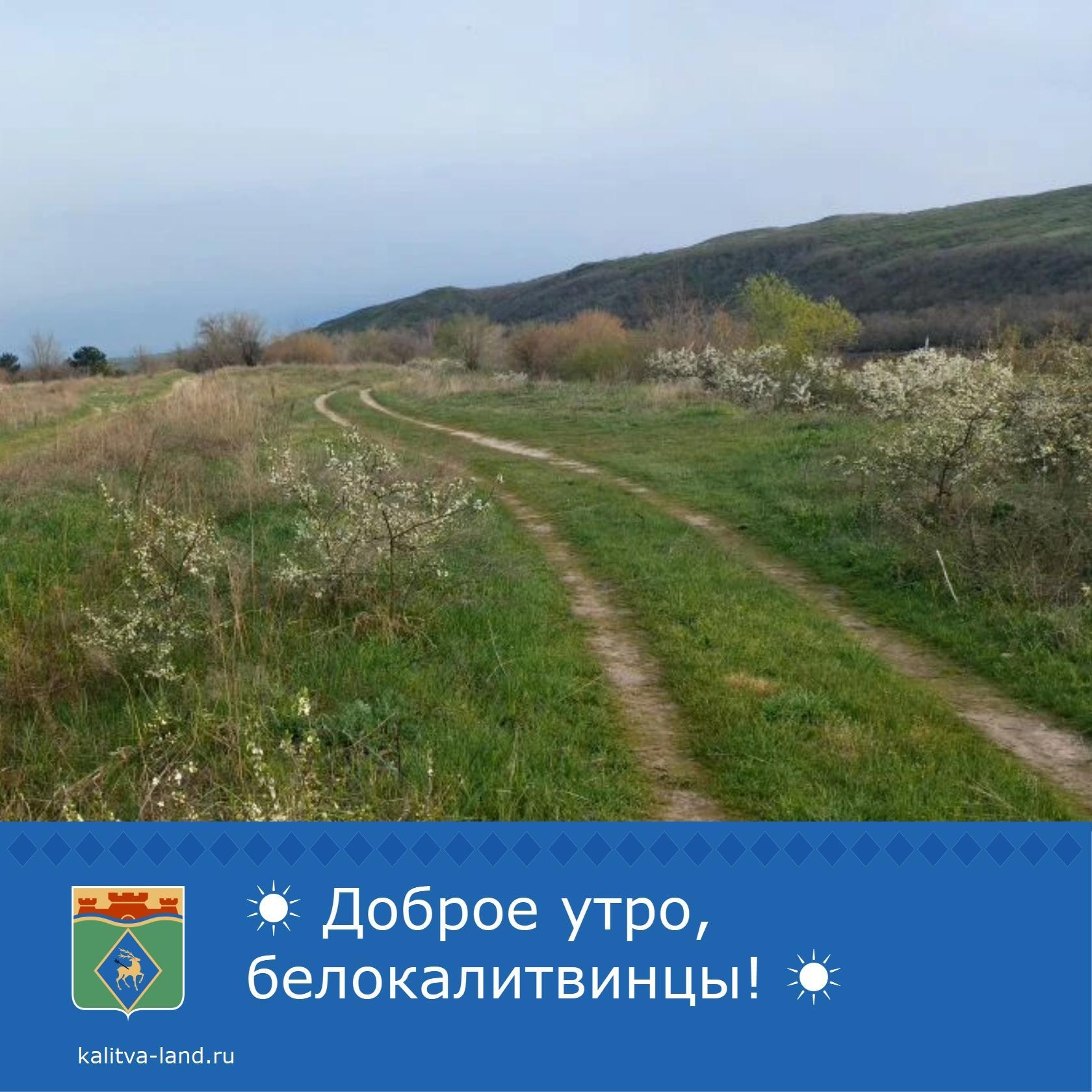 ☁️ Доброе утро, белокалитвинцы!